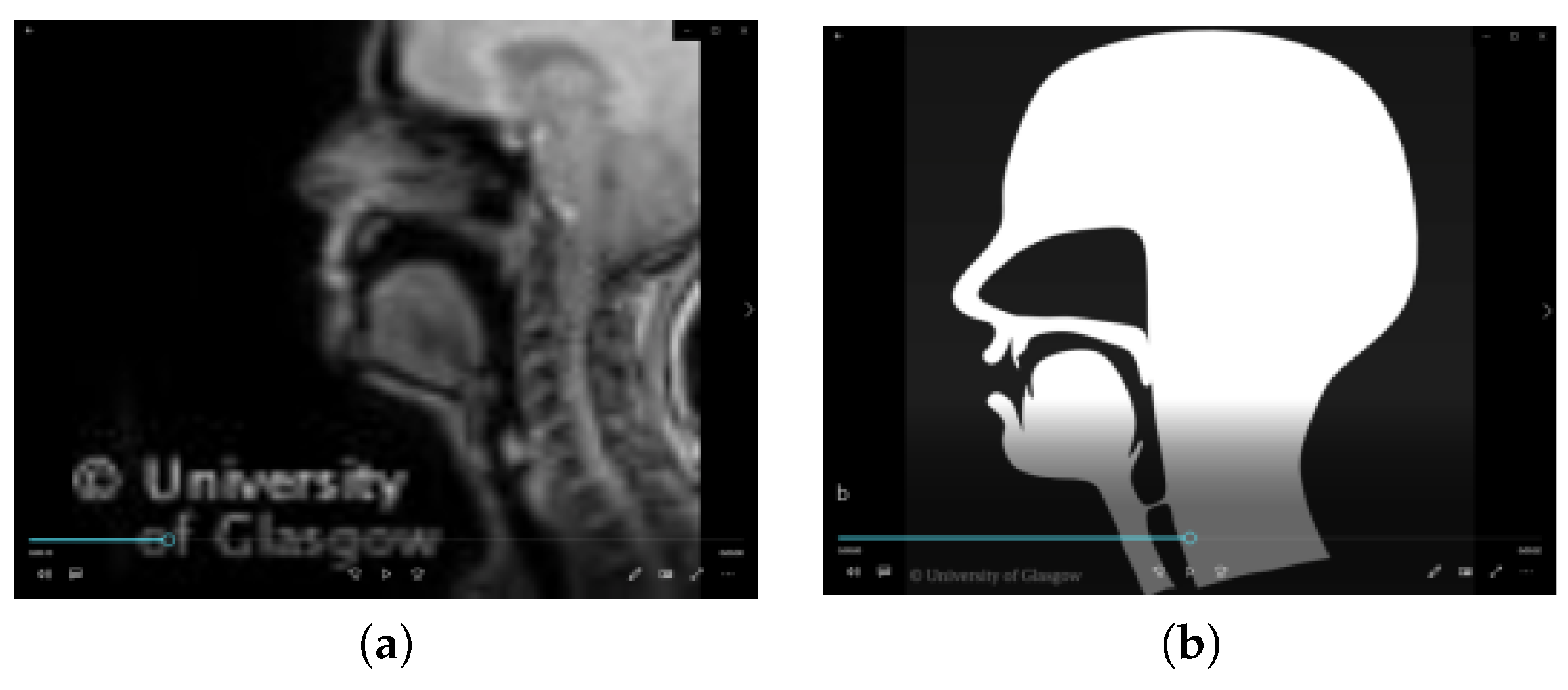 Computers 12 00150 g001