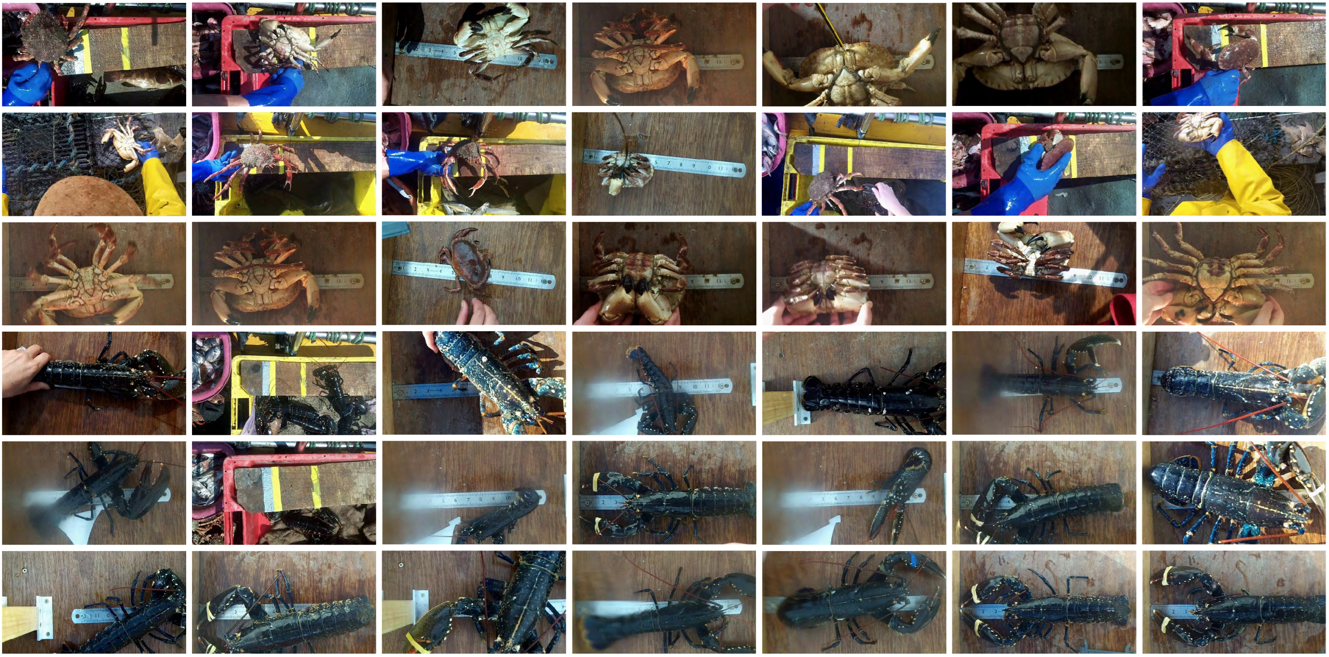 Computers 13 00119 g006