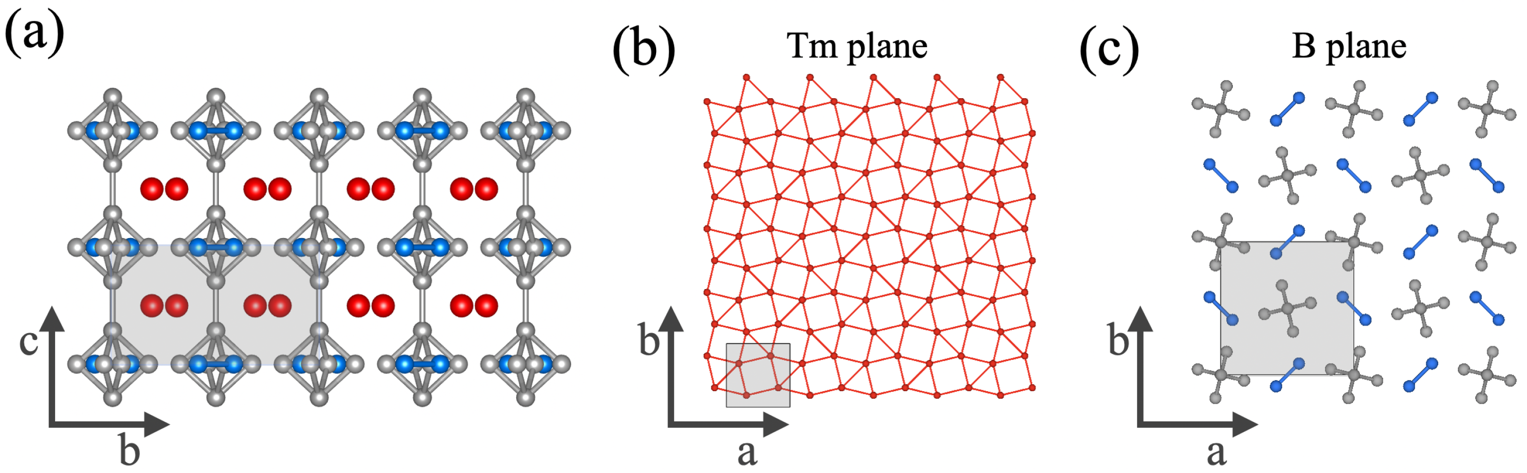 Condensed Matter | Free Full-Text | Detection of Surface States in 