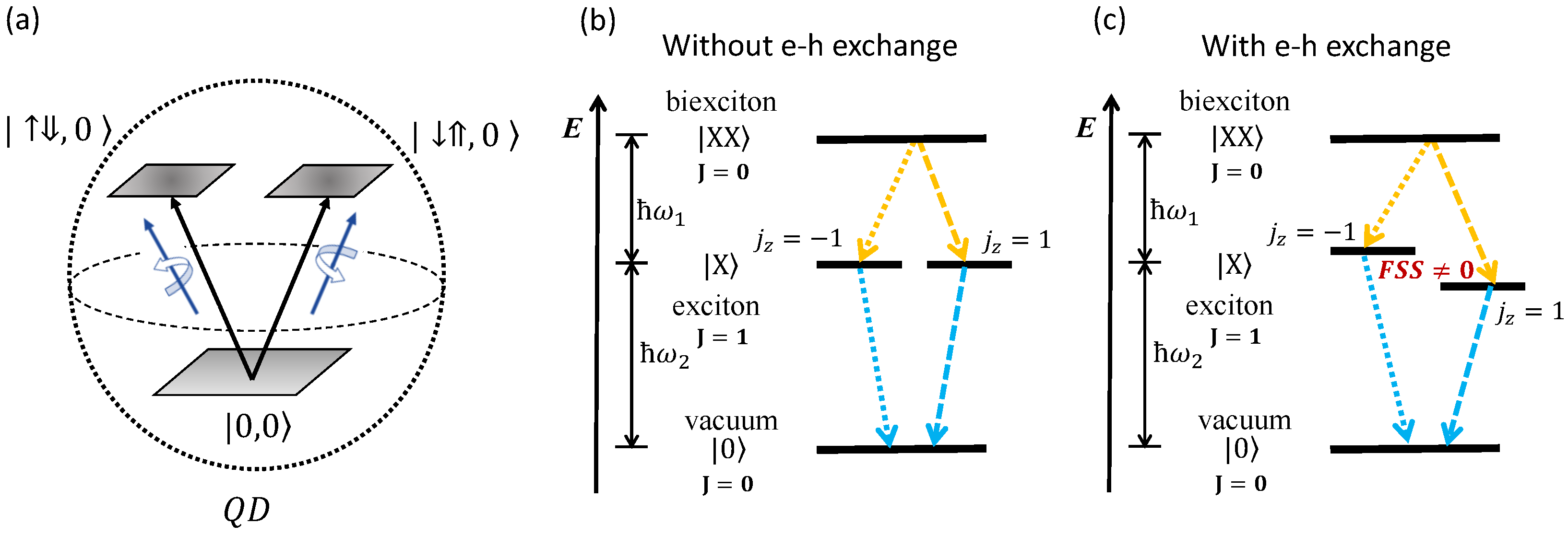 Condensedmatter 08 00090 g001 Condensedmatter 08 00090 g001