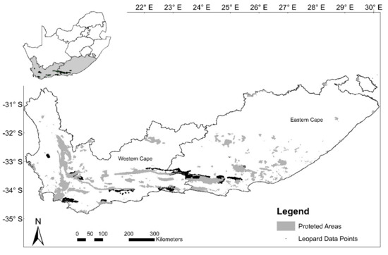 Conservation | Free Full-Text | Delineating Functional Corridors Linking  Leopard Habitat in the Eastern and Western Cape, South Africa | HTML
