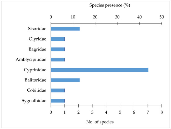 COVID'S EFFECT ON AN ENDANGERED LANGUAGE IN THE SYLHET AREA OF