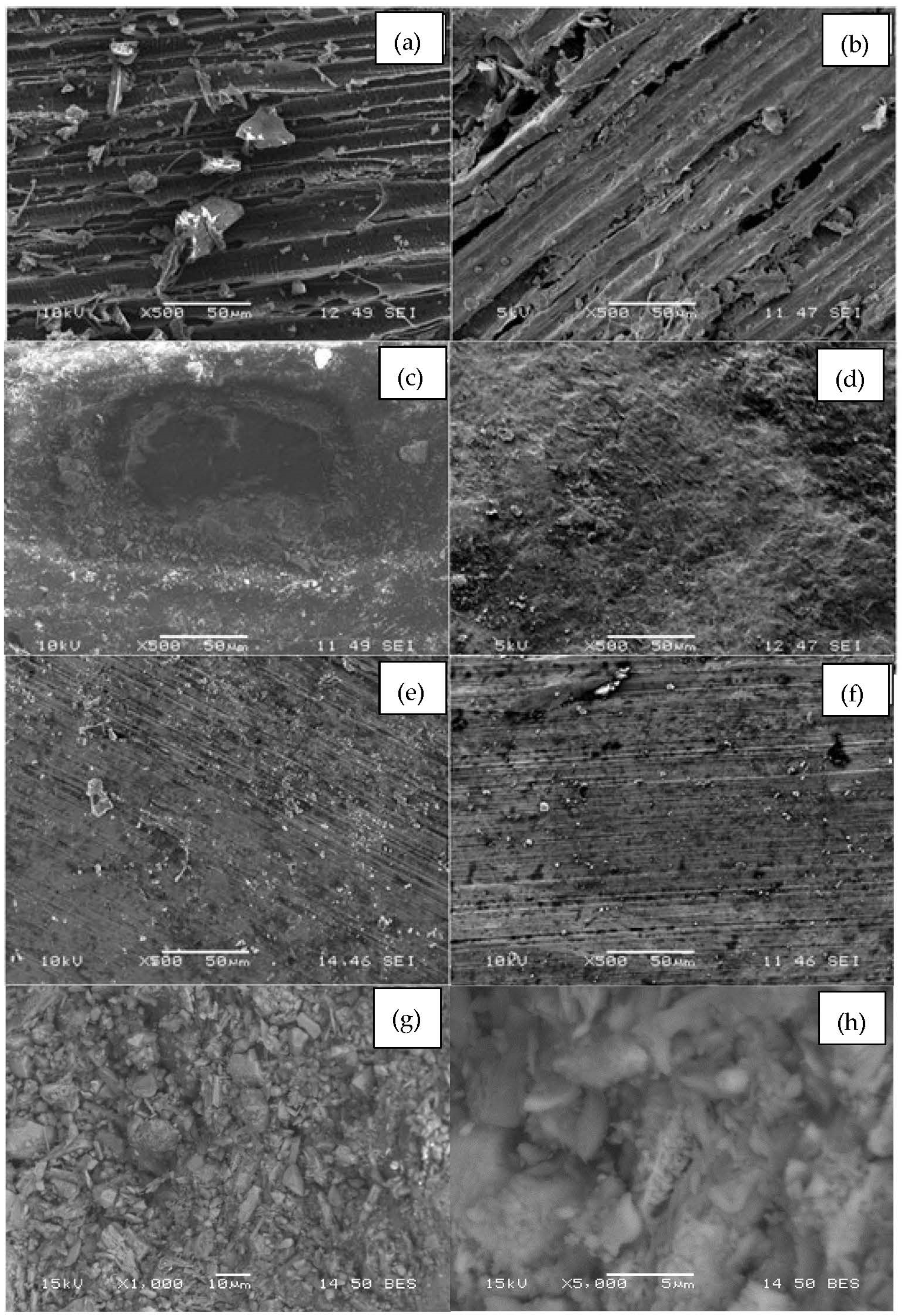 Conservation 02 00047 g001