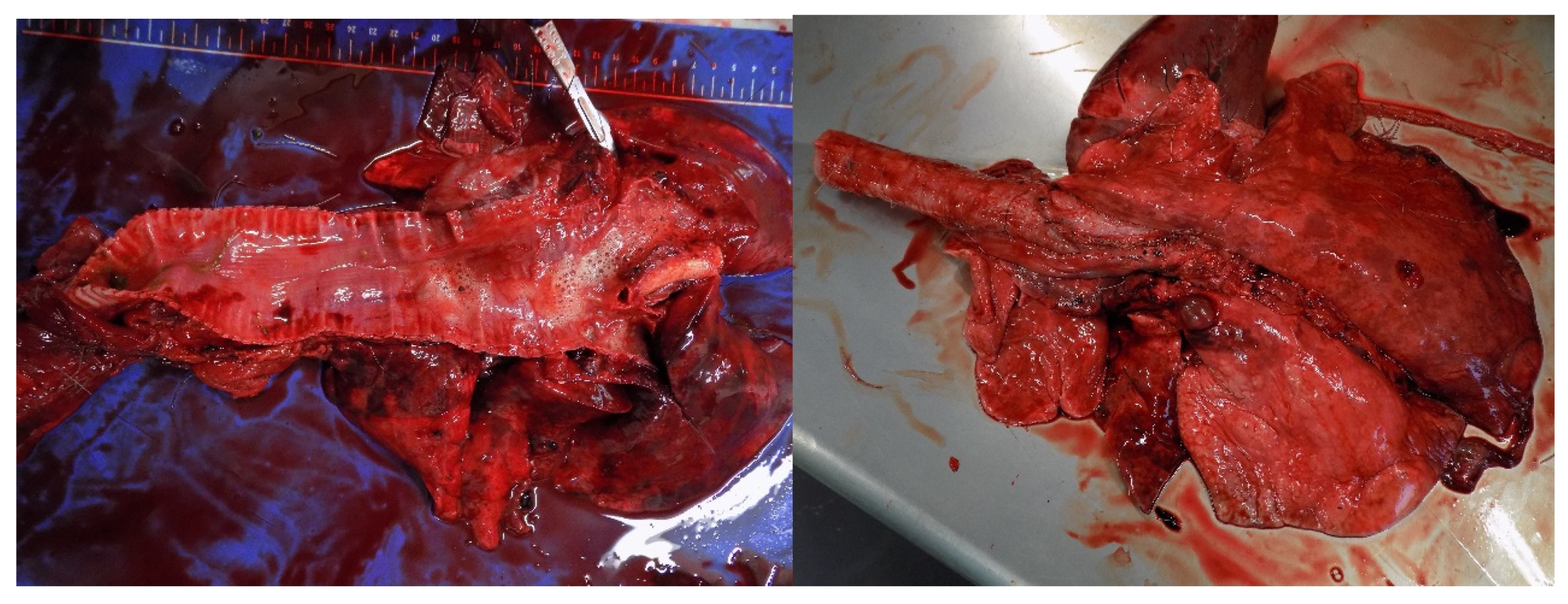 Conservation 03 00009 g007