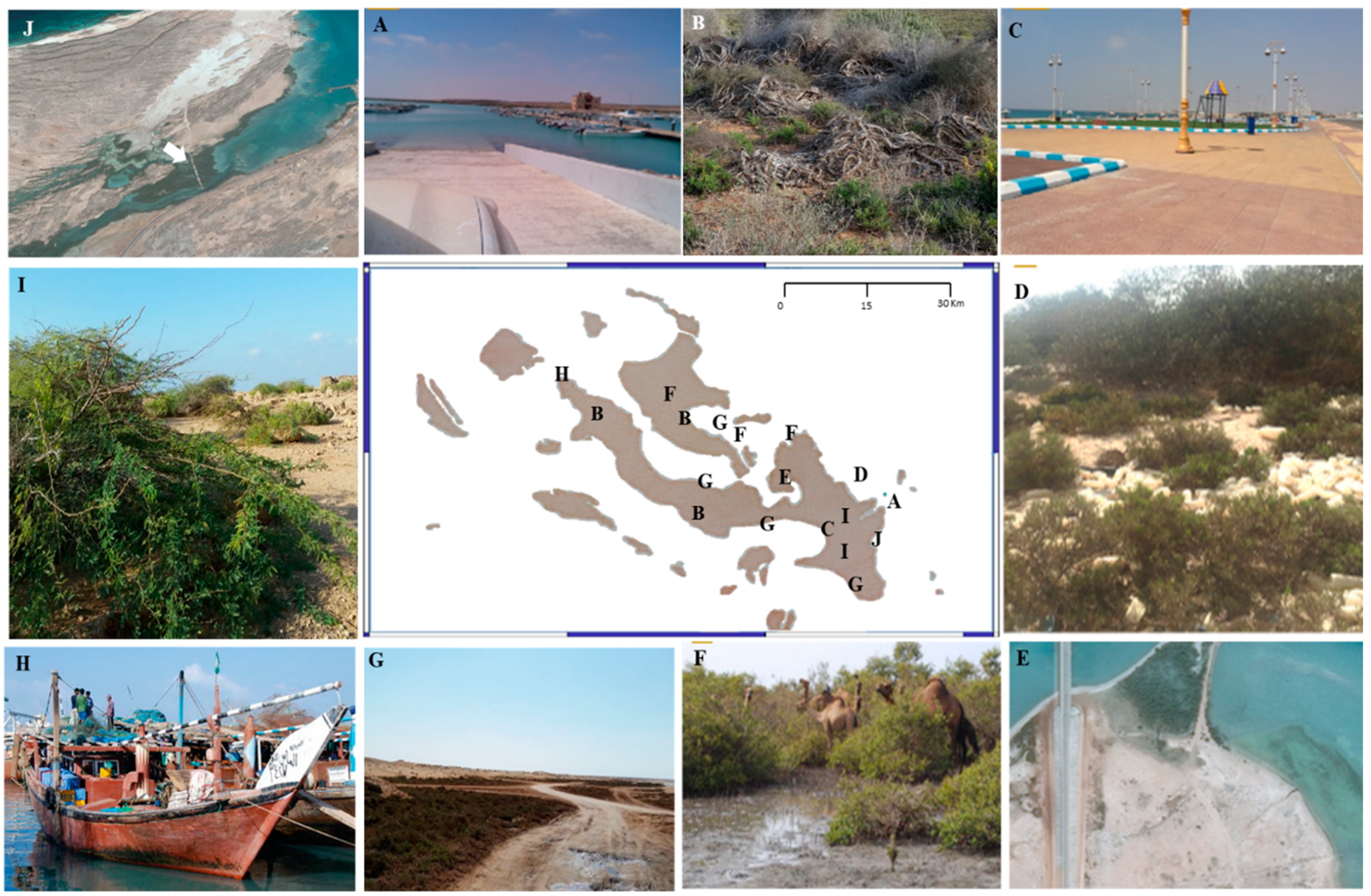 Conservation 03 00011 g002 Conservation 03 00011 g002