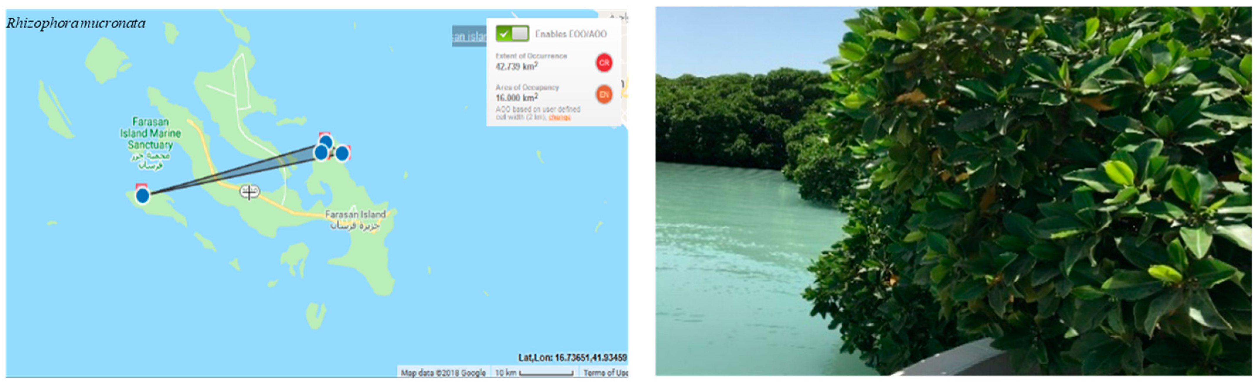 Conservation 03 00011 g004 Conservation 03 00011 g004