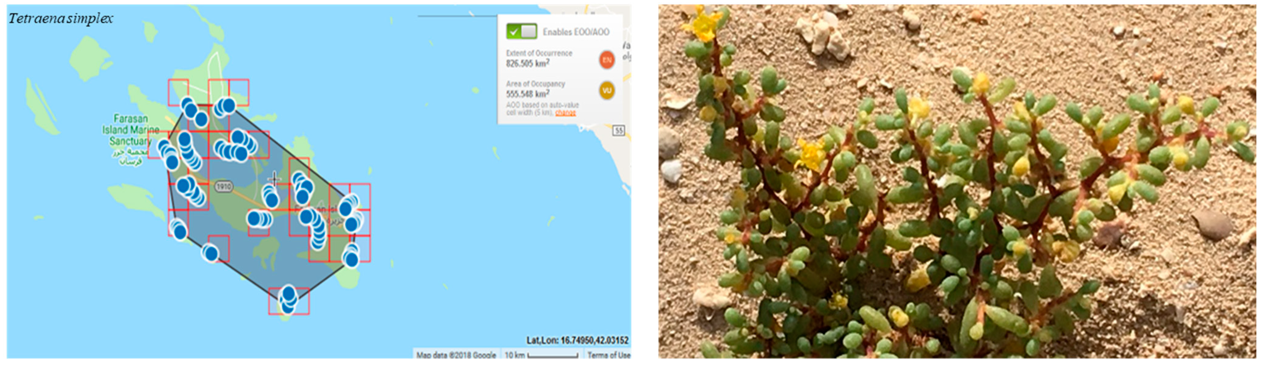 Conservation 03 00011 g005 Conservation 03 00011 g005