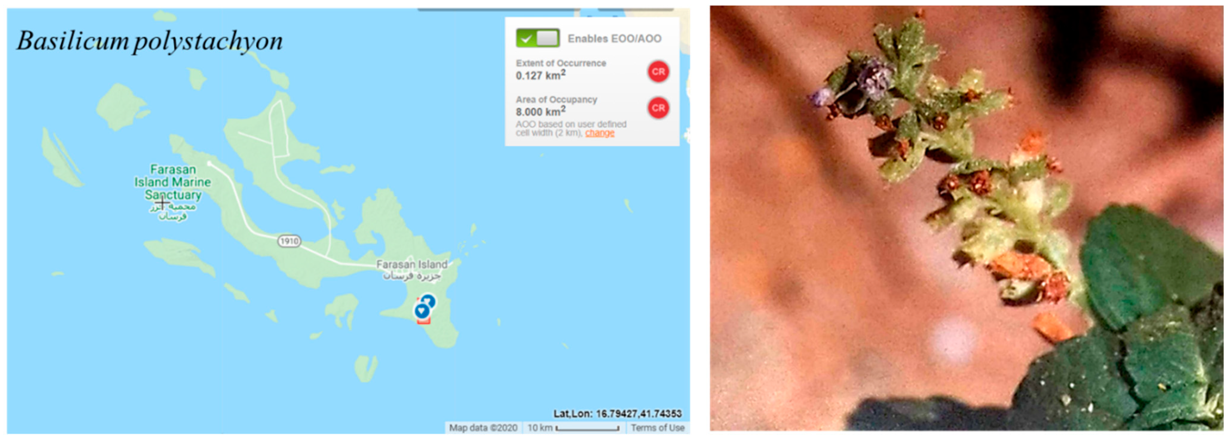 Conservation 03 00011 g009 Conservation 03 00011 g009