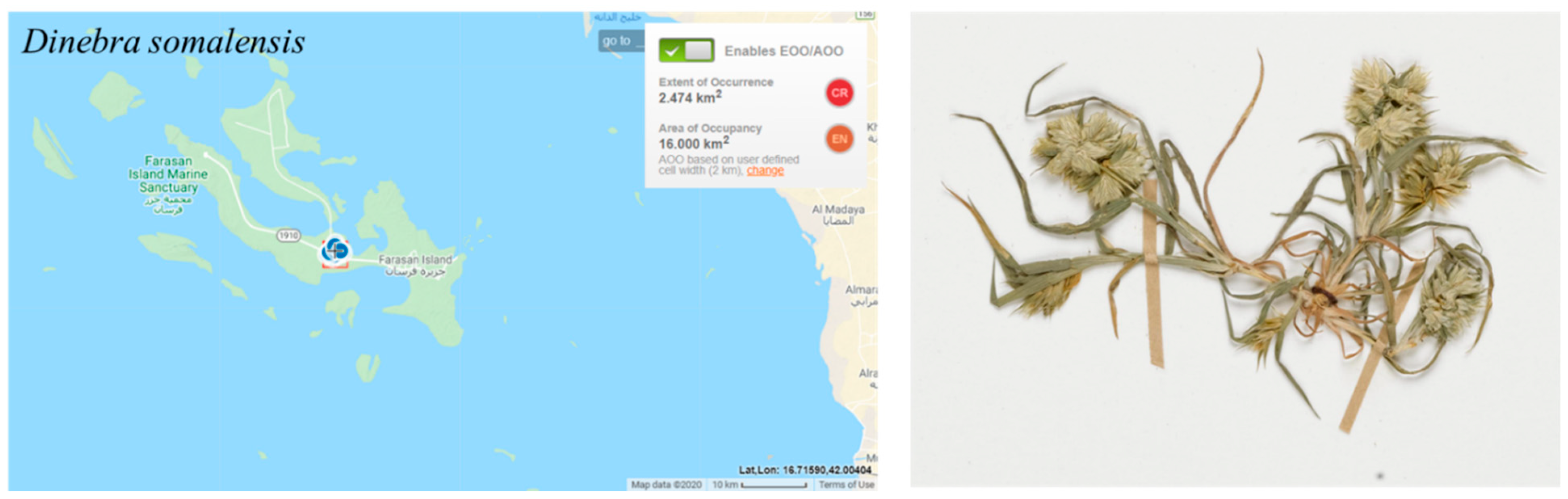 Conservation 03 00011 g010 Conservation 03 00011 g010