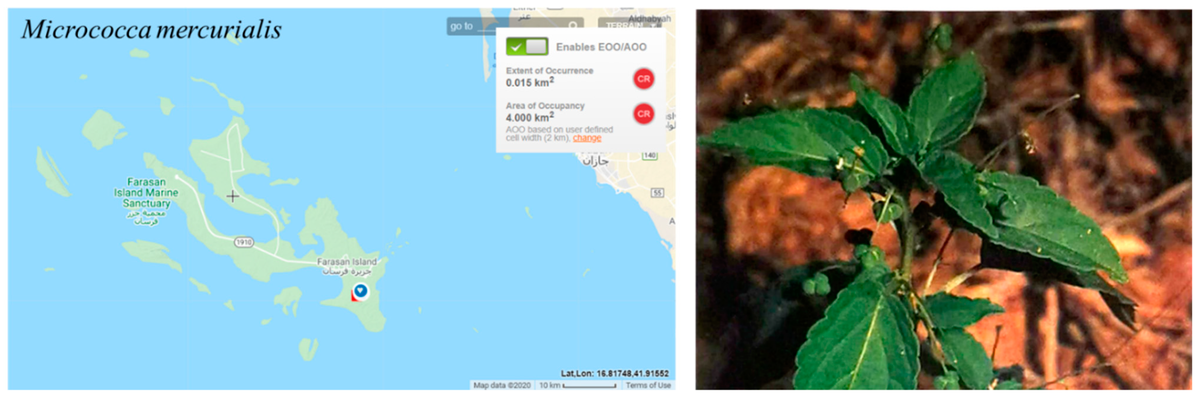 Conservation 03 00011 g012 Conservation 03 00011 g012