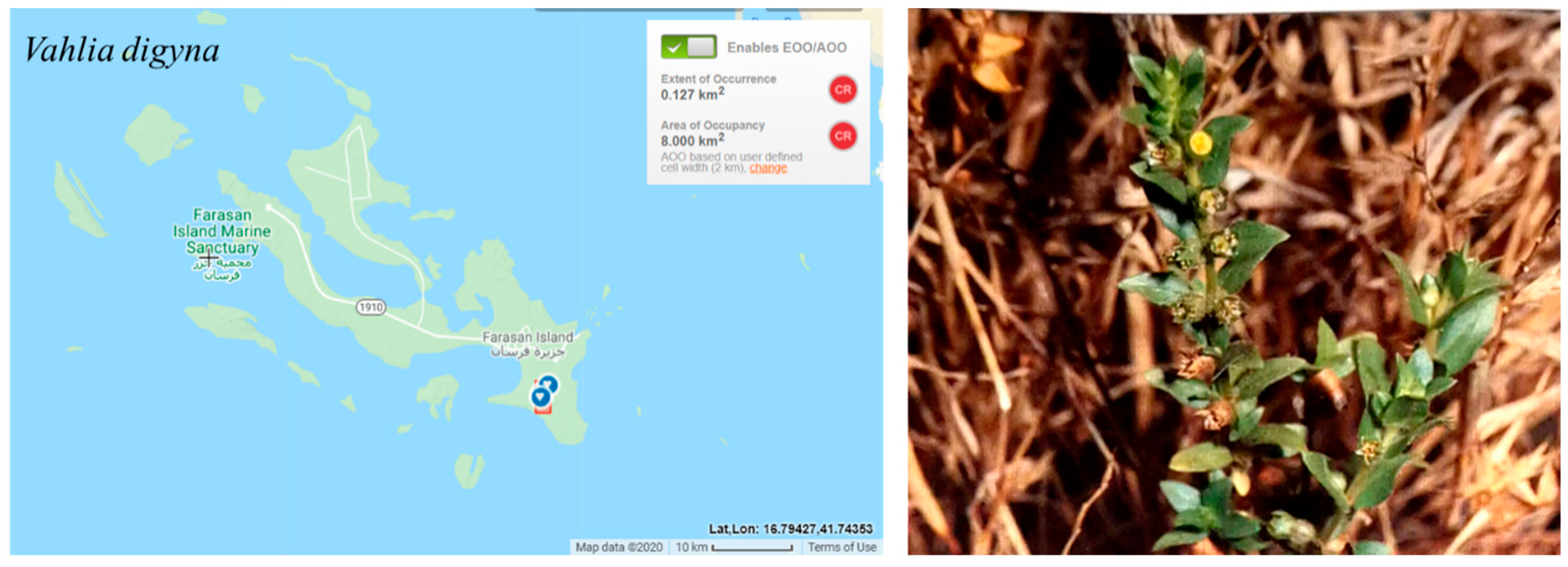 Conservation 03 00011 g014 Conservation 03 00011 g014