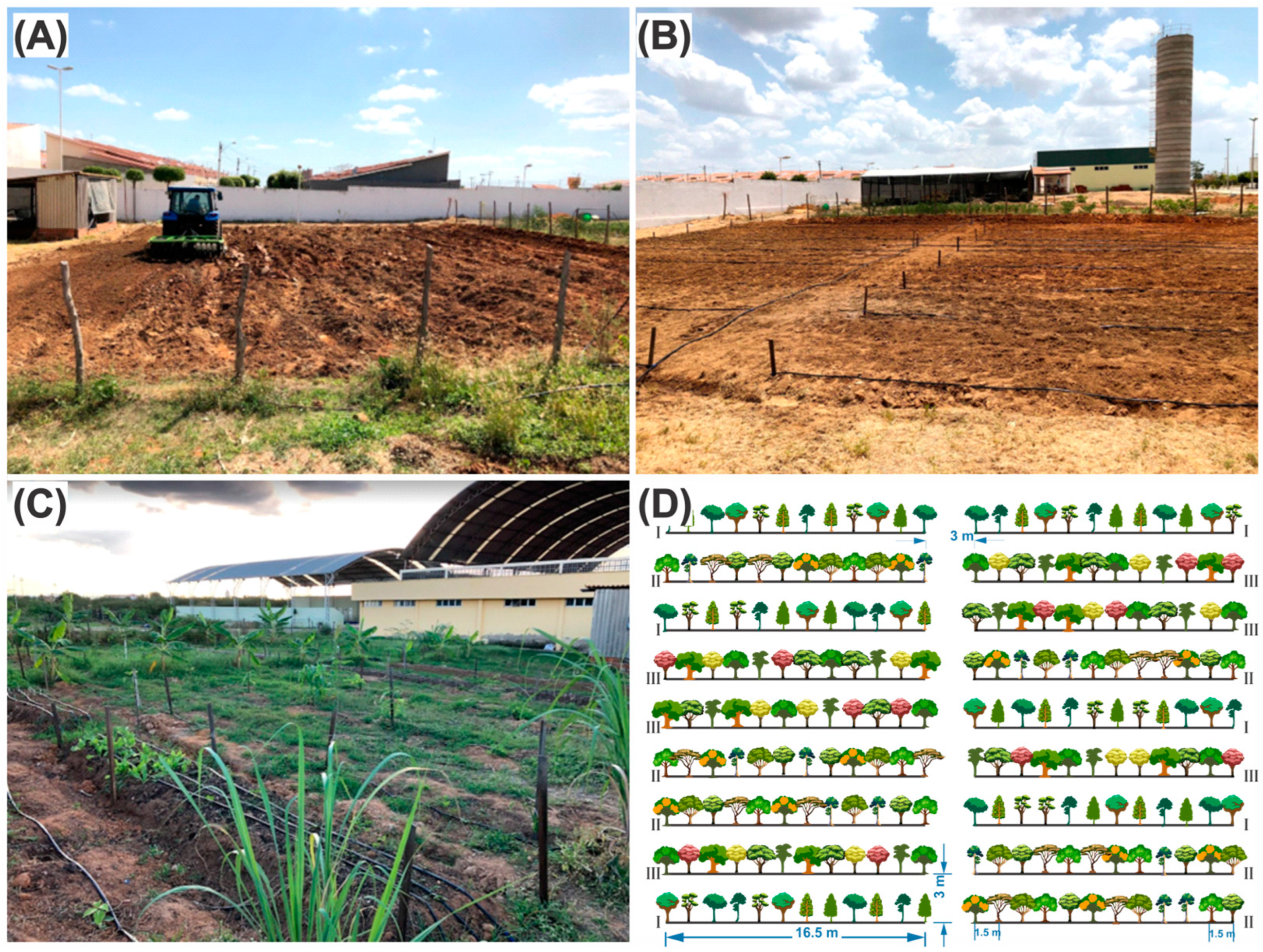 Conservation 05 00020 g001