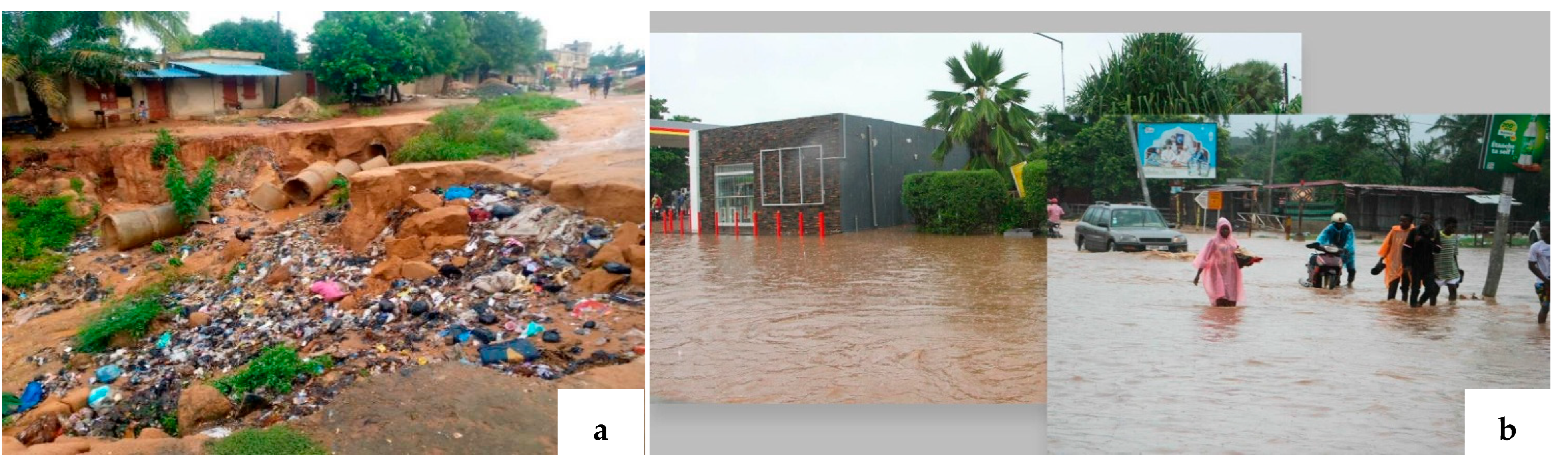 Conservation 05 00028 g008