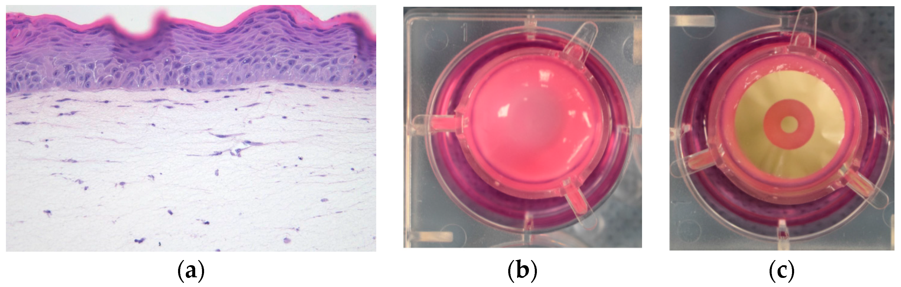 Cosmetics | Free Full-Text | Non-Invasive Assessment of Skin Barrier  Properties: Investigating Emerging Tools for In Vitro and In Vivo  Applications