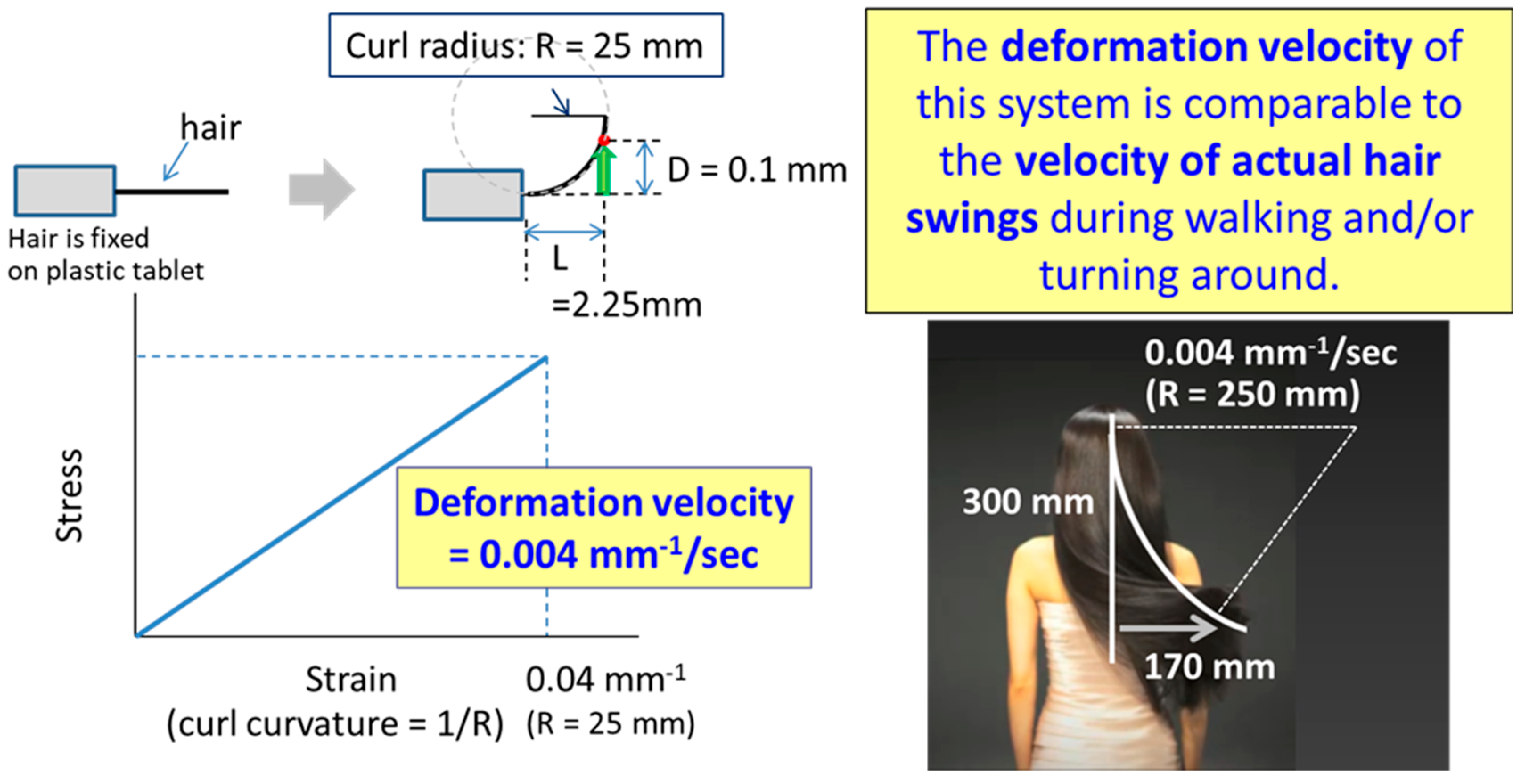 Cosmetics 06 00040 g011