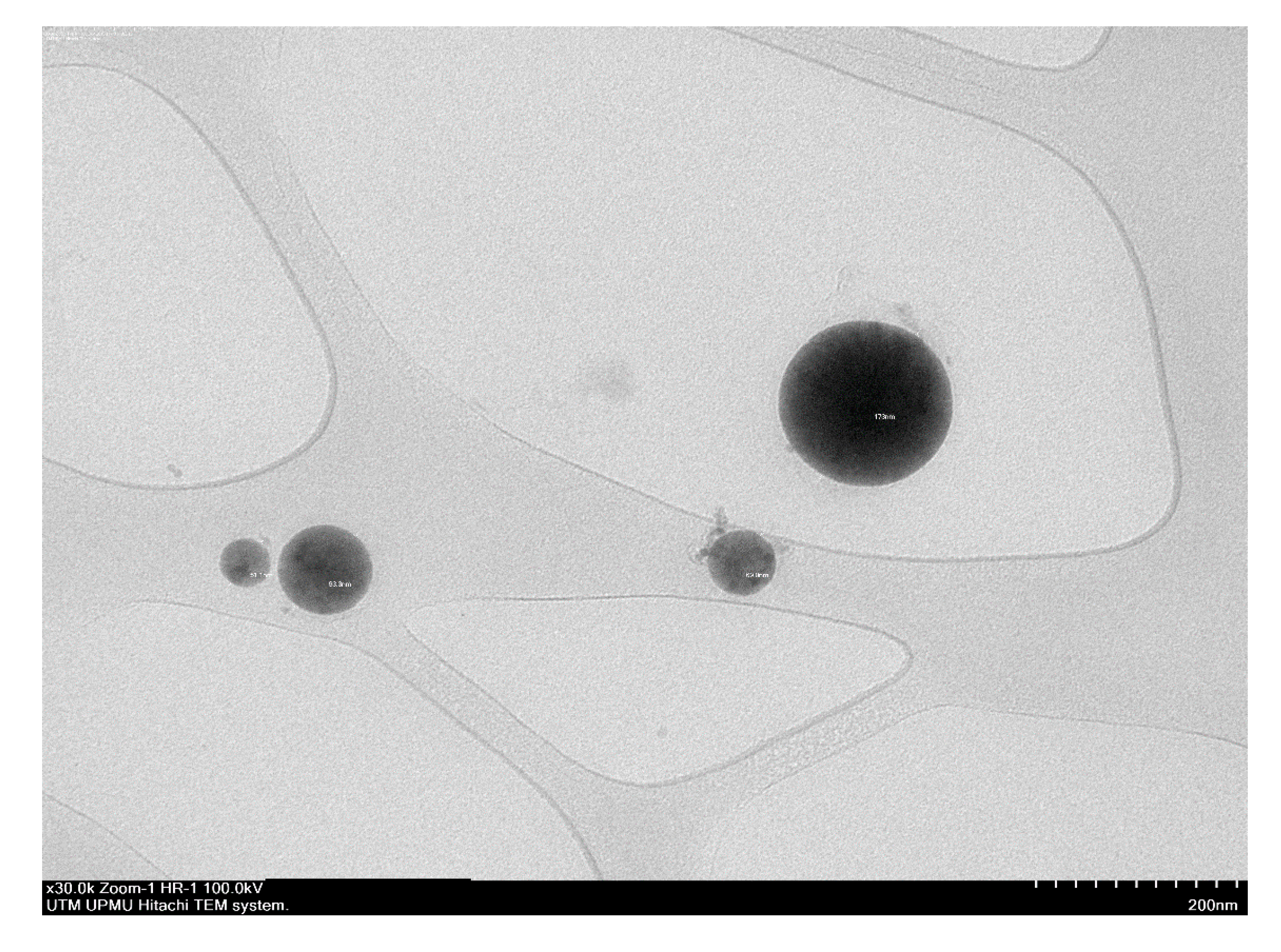 Cosmetics 07 00083 g003 Cosmetics 07 00083 g003