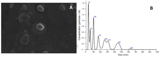 Cosmetics 08 00028 g004