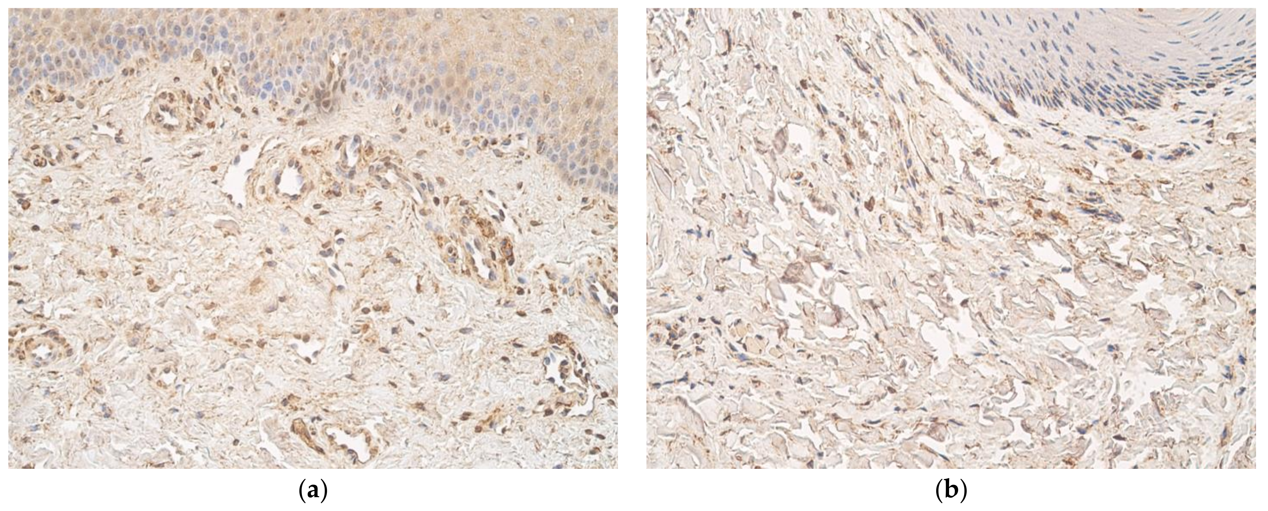 Cosmetics 08 00042 g003 Cosmetics 08 00042 g003