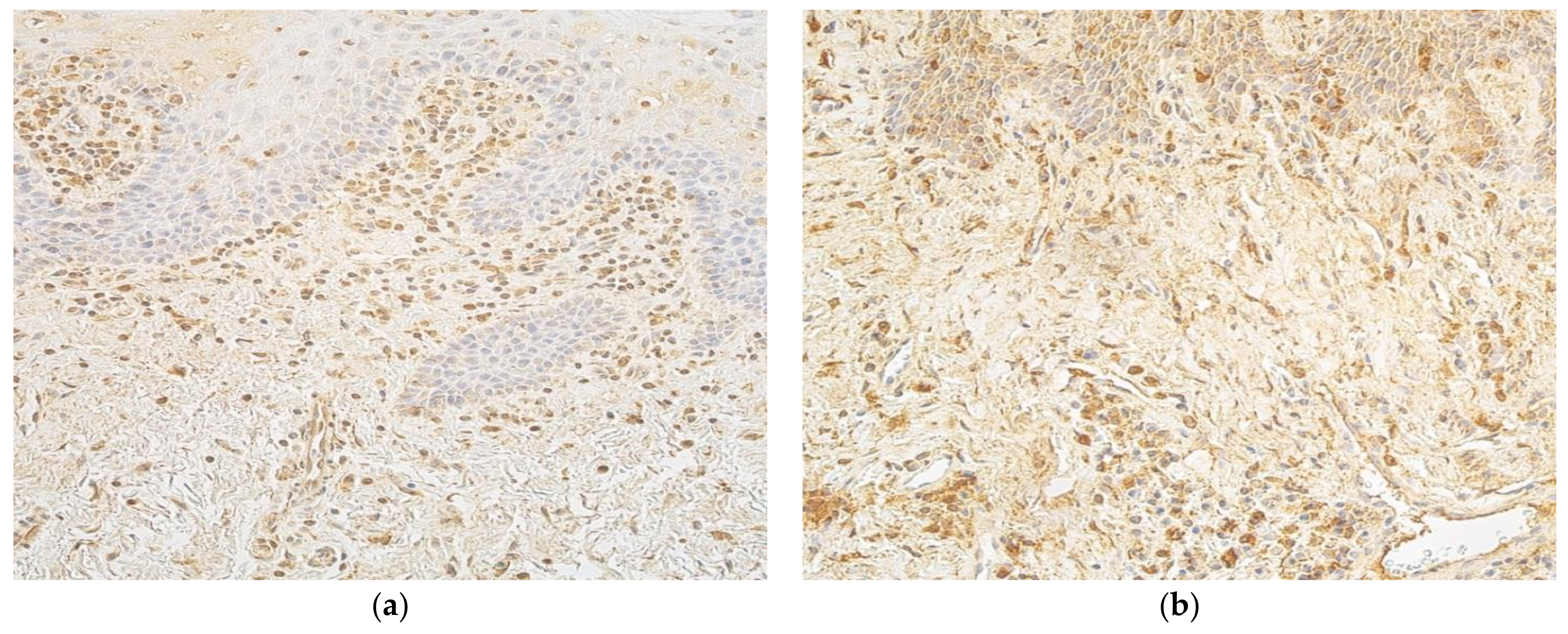 Cosmetics 08 00042 g005 Cosmetics 08 00042 g005