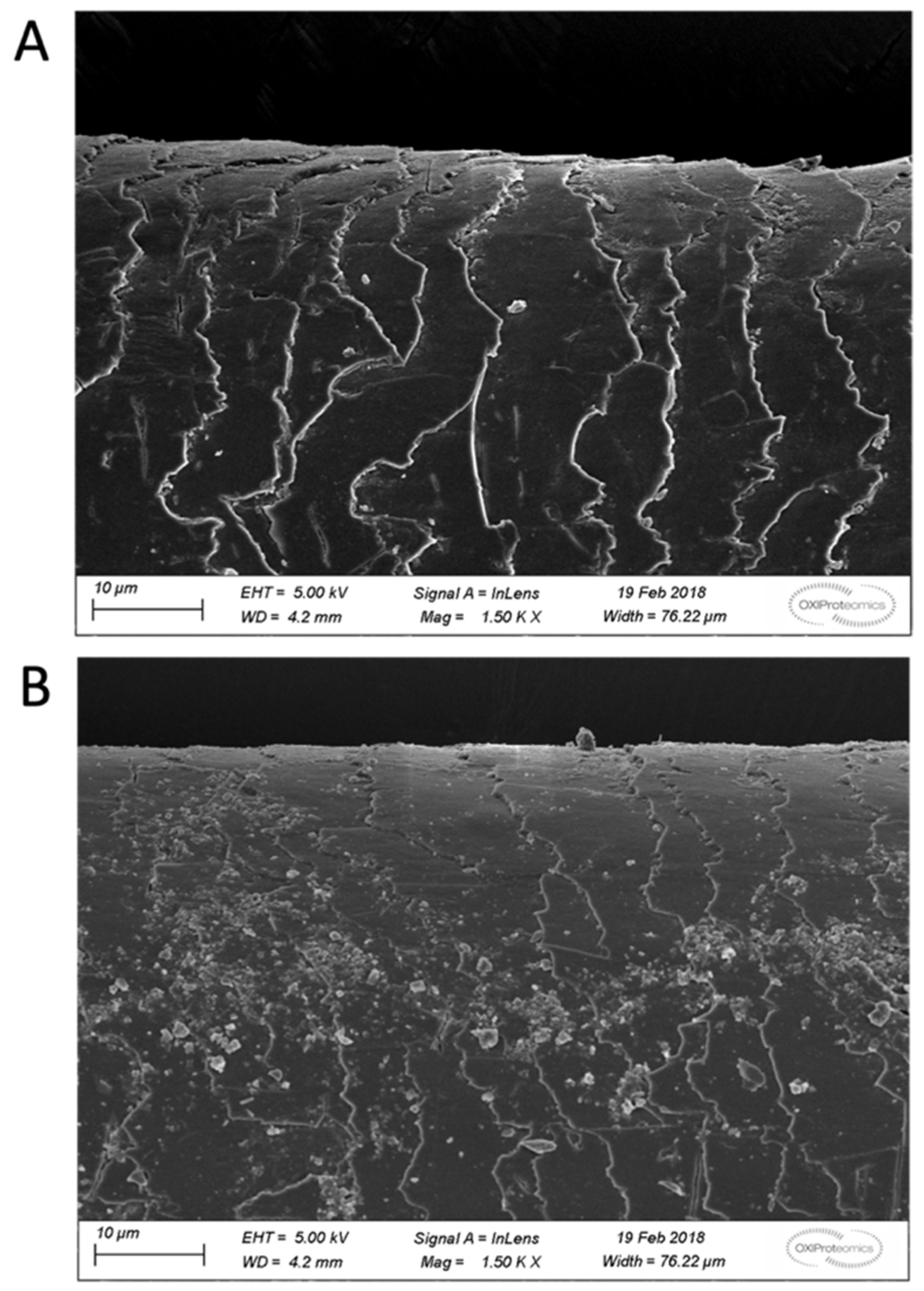 Cosmetics | Free Full-Text | Protein Carbonylation as a Reliable Read-Out  of Urban Pollution Damage/Protection of Hair Fibers | HTML