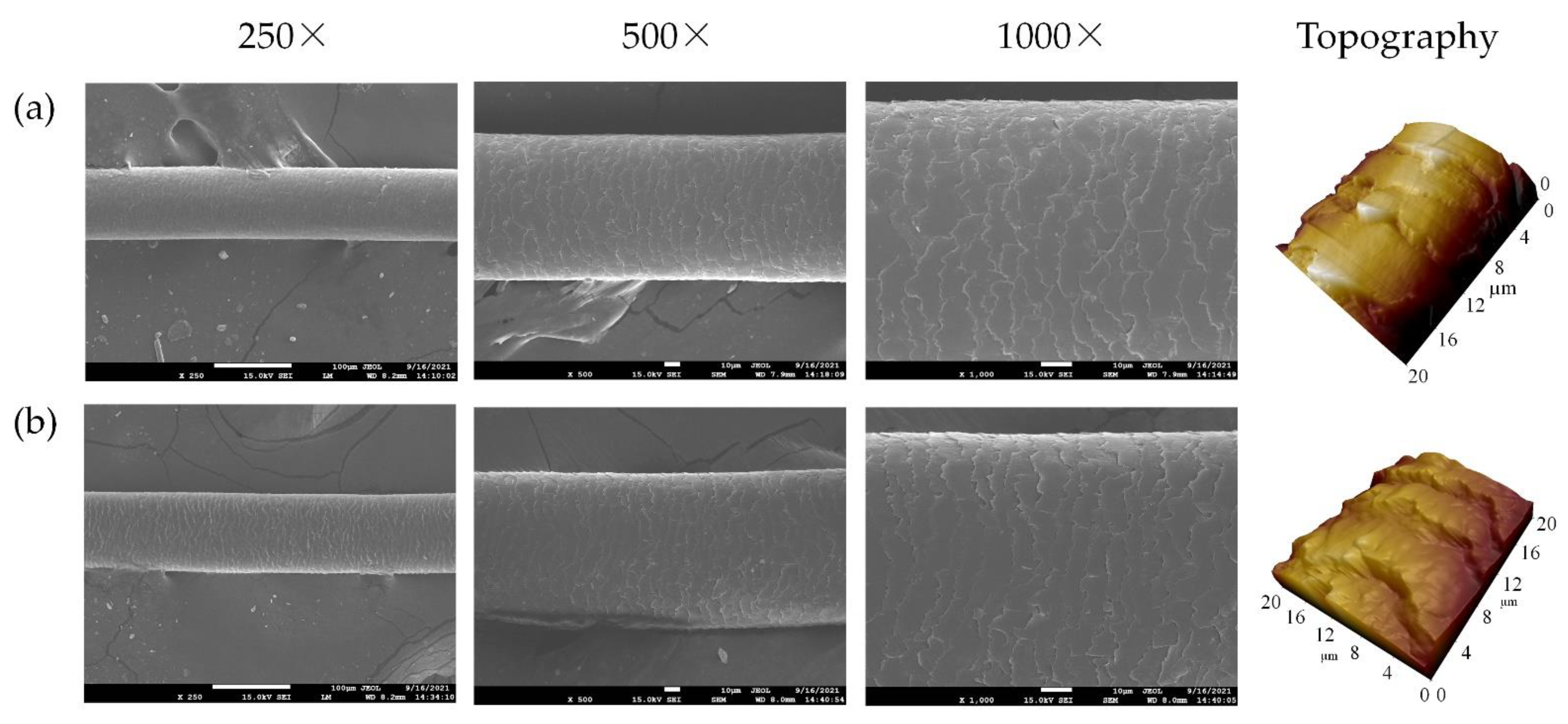 Cosmetics 09 00104 g006