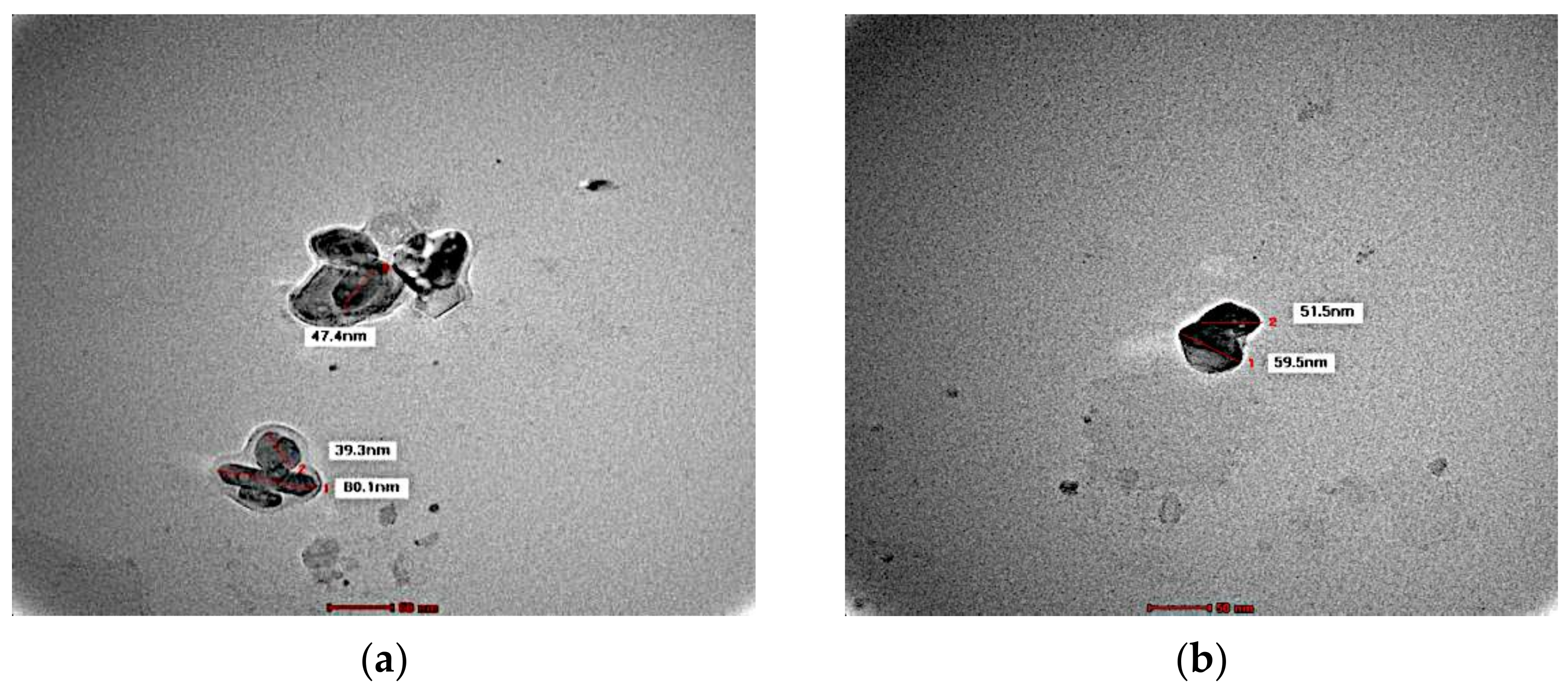 Cosmetics 09 00114 g004a