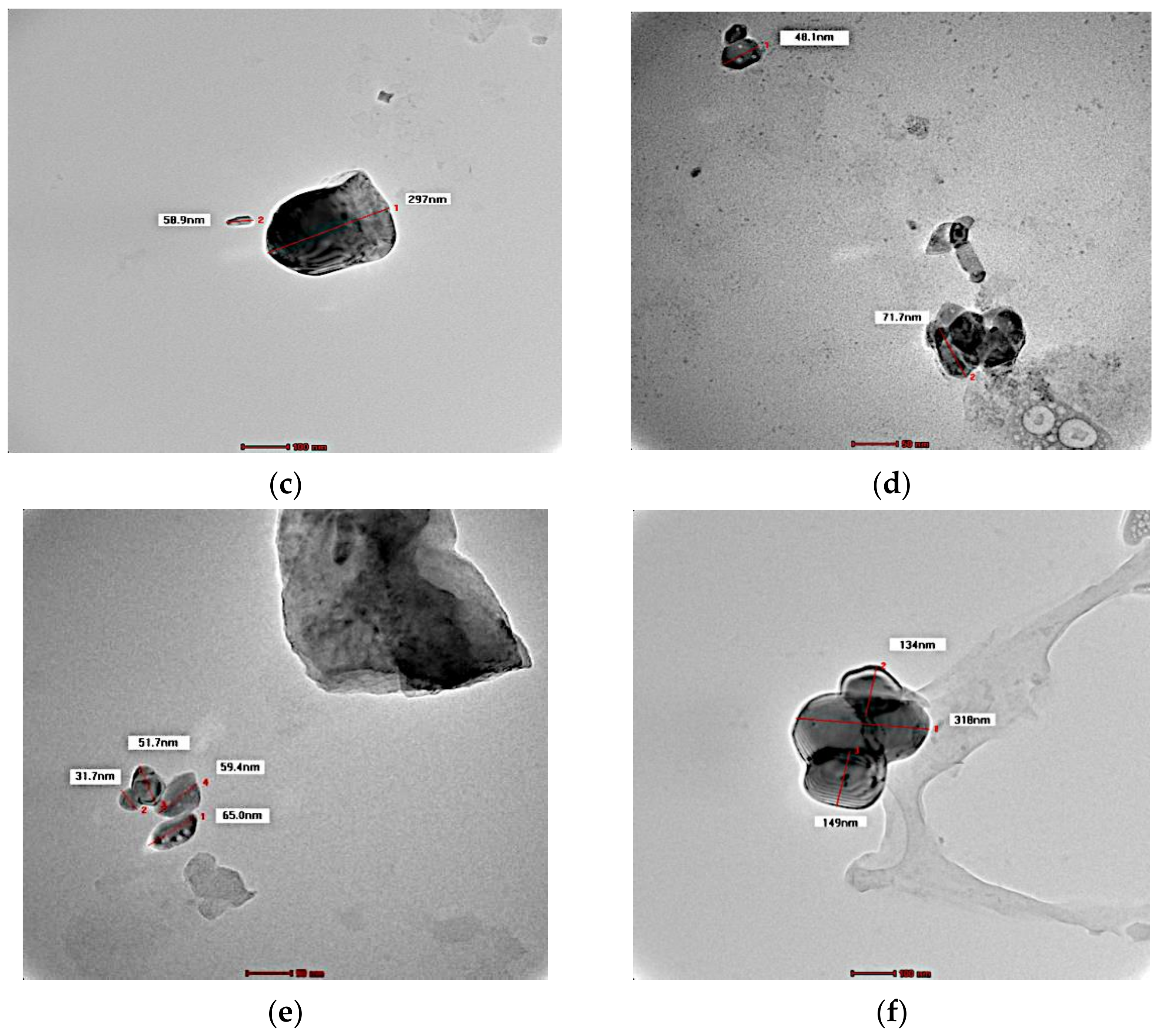 Cosmetics 09 00114 g004b