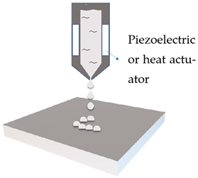 Cosmetics 09 00115 i001