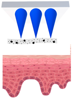 Cosmetics 09 00115 i004