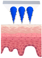 Cosmetics 09 00115 i005