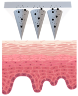 Cosmetics 09 00115 i006