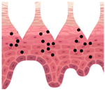 Cosmetics 09 00115 i013