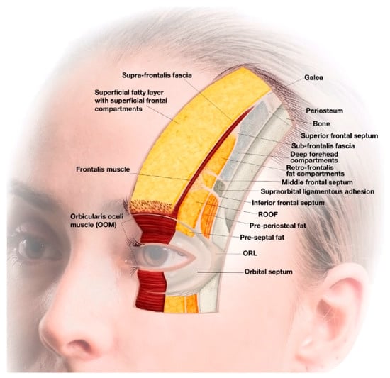 Warning Signs After Plastic Surgery - Halifax, NS Complication Symptoms and  Severe Side Effects