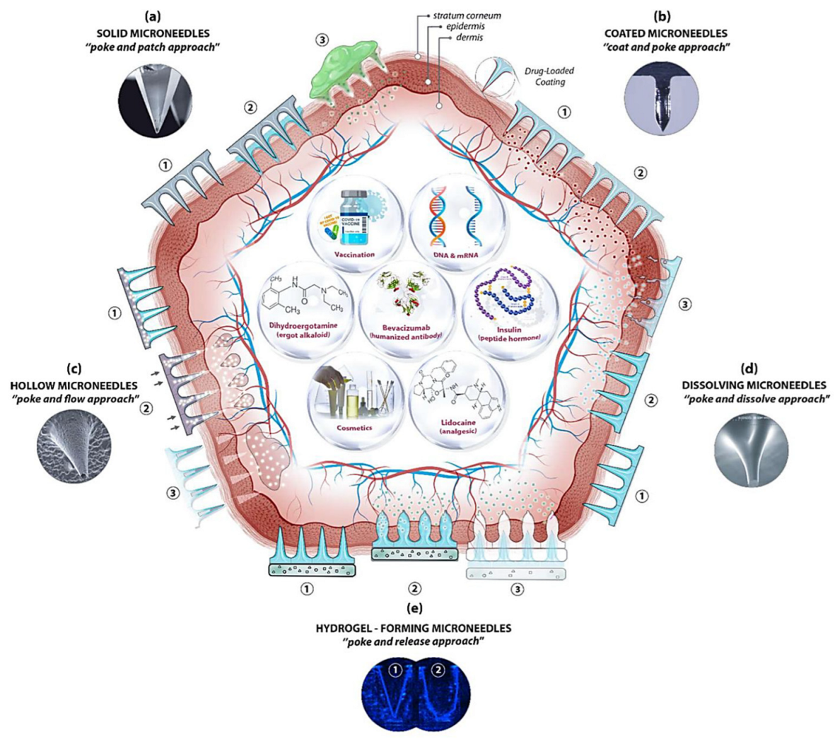 Cosmetics 10 00041 g003 Cosmetics 10 00041 g003