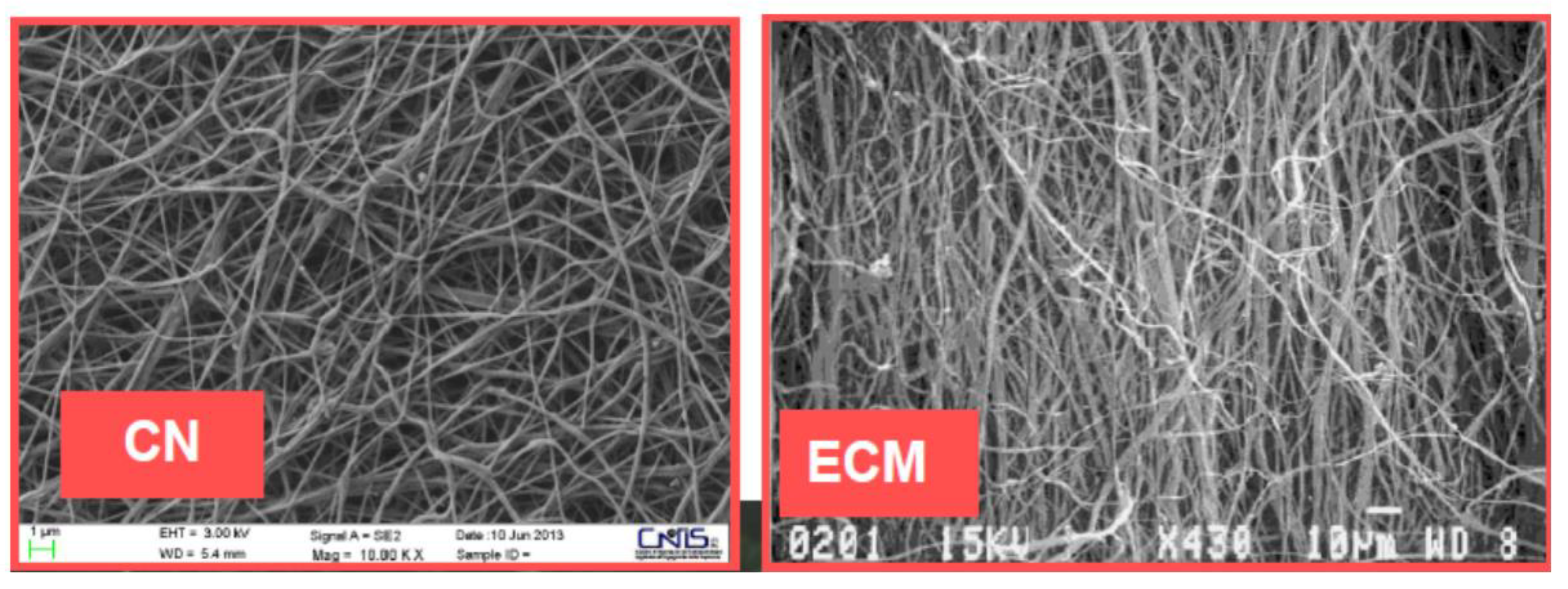 Cosmetics 10 00042 g005 Cosmetics 10 00042 g005