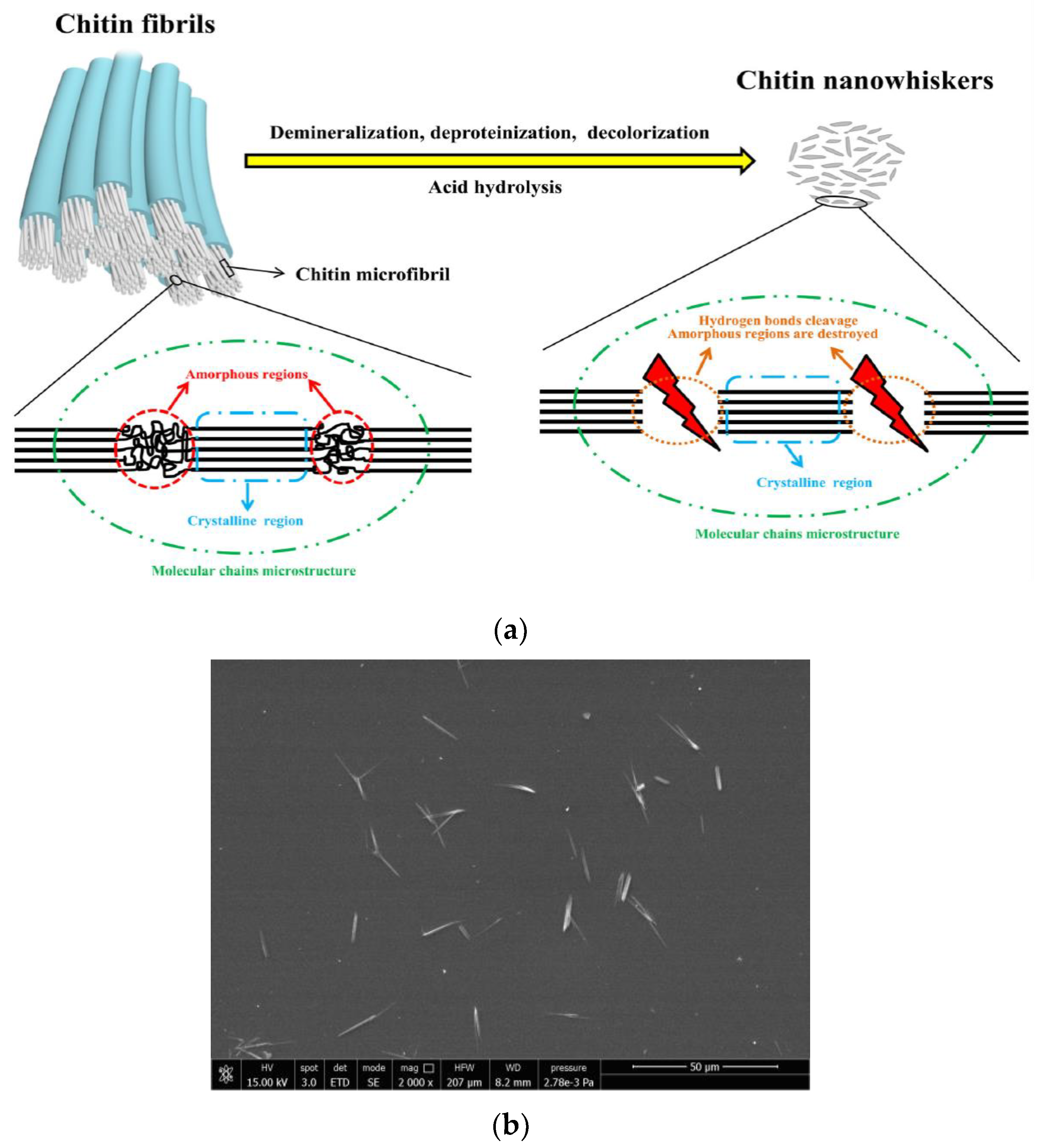 Cosmetics 10 00042 g007 Cosmetics 10 00042 g007
