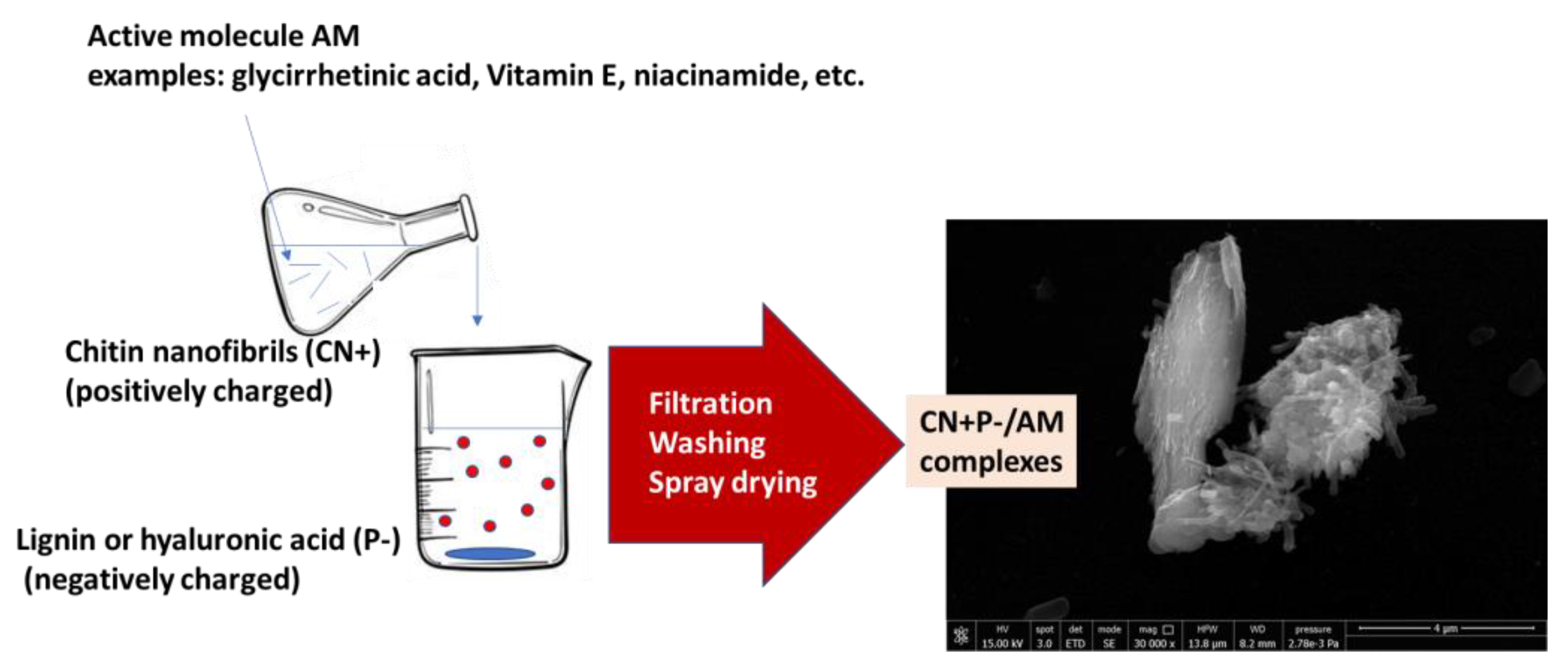 Cosmetics 10 00042 g008 Cosmetics 10 00042 g008