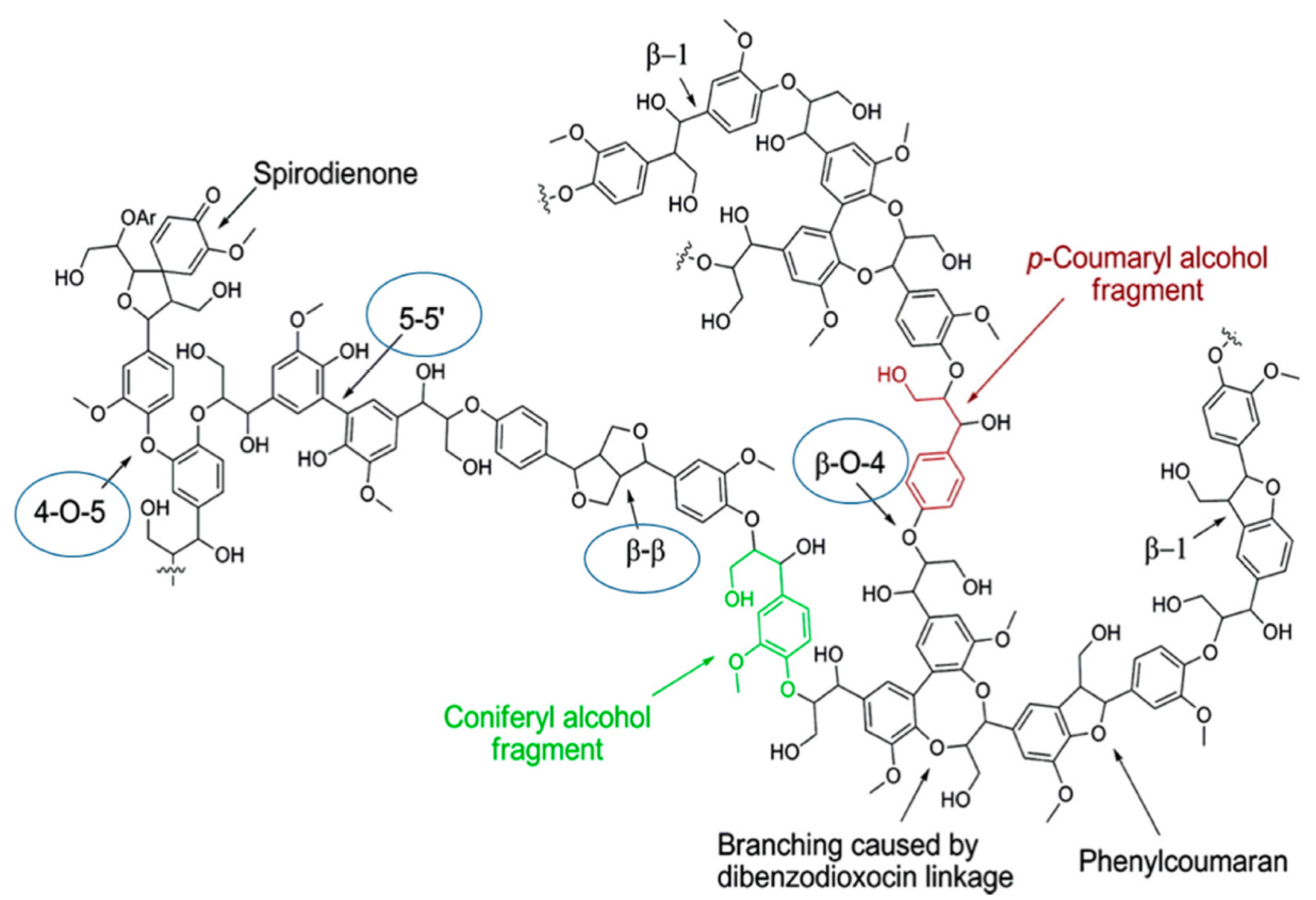 Cosmetics 10 00042 g009 Cosmetics 10 00042 g009
