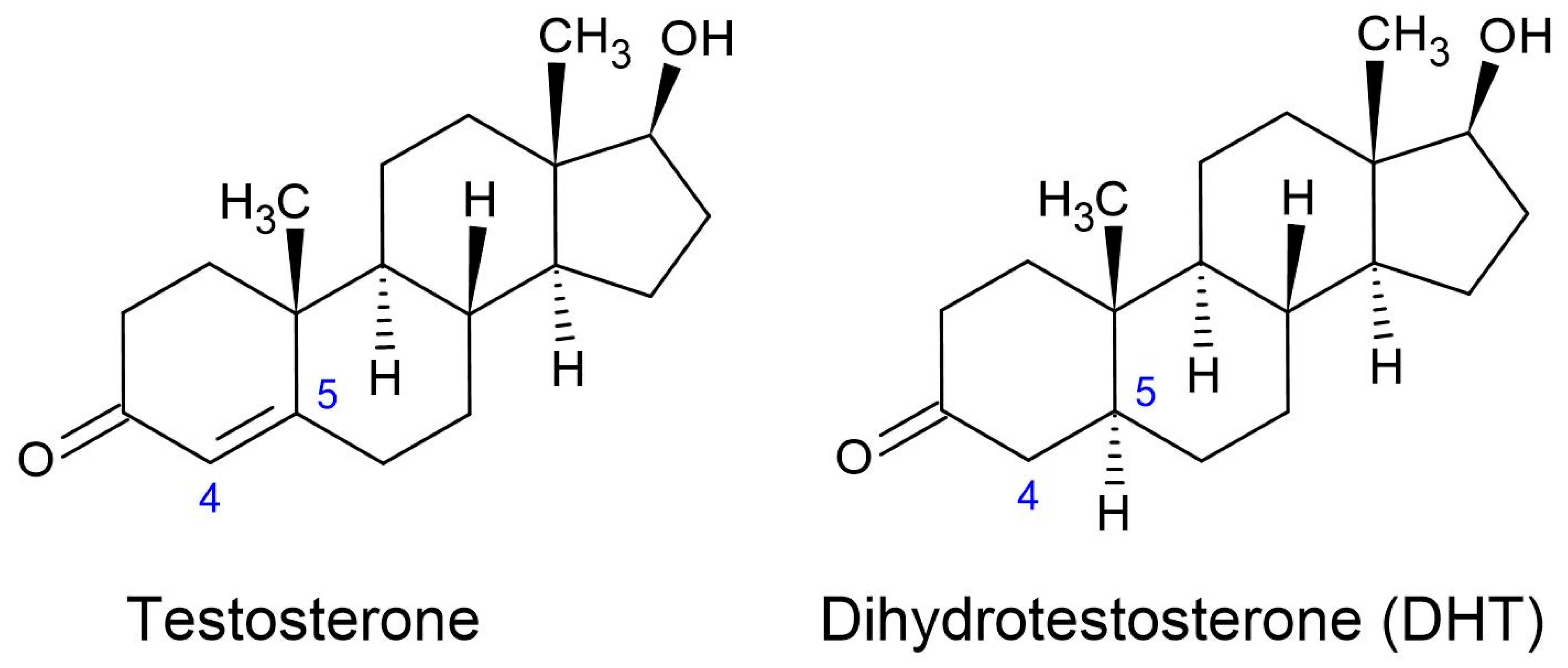 Cosmetics 10 00106 g003