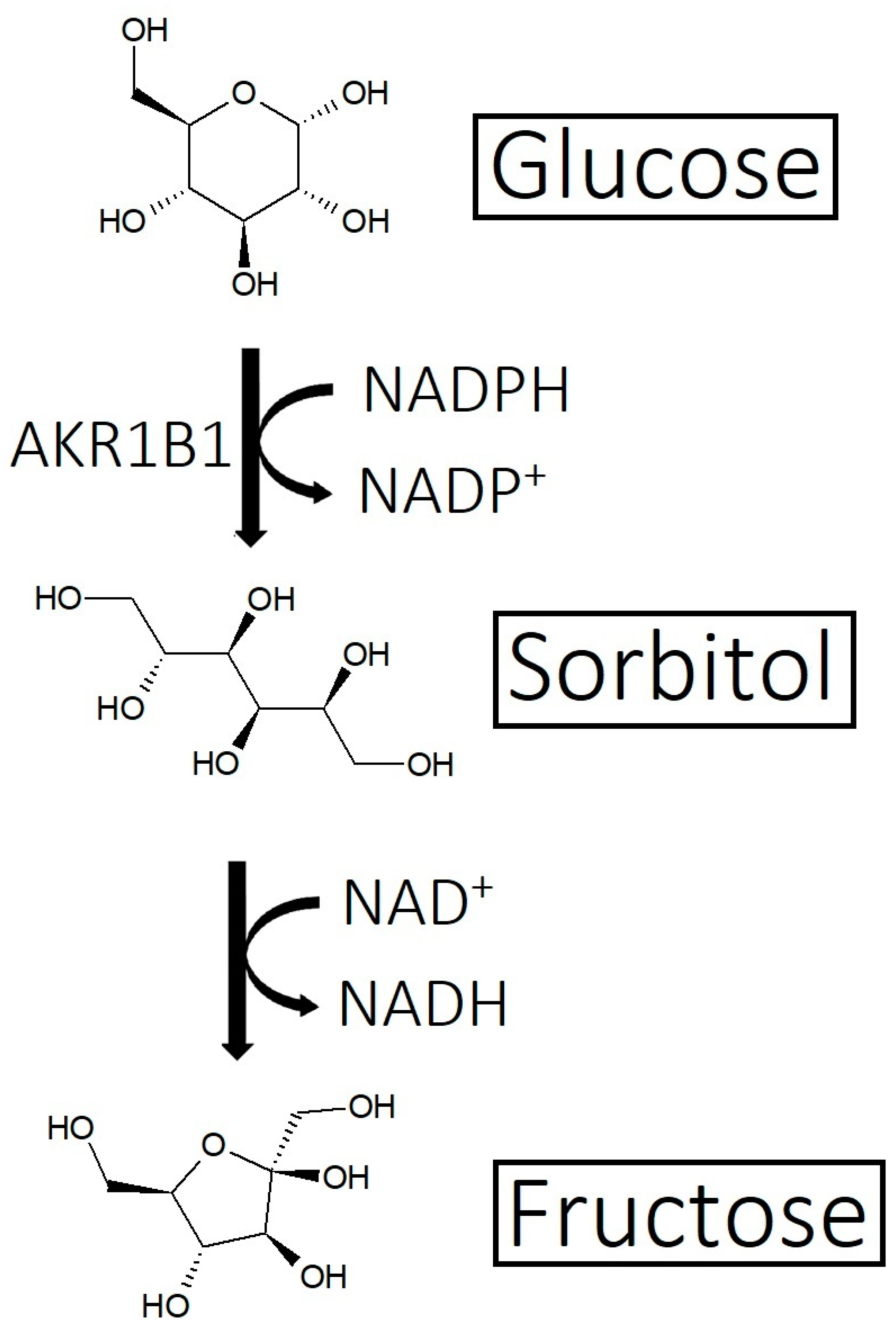 Cosmetics 10 00106 g011