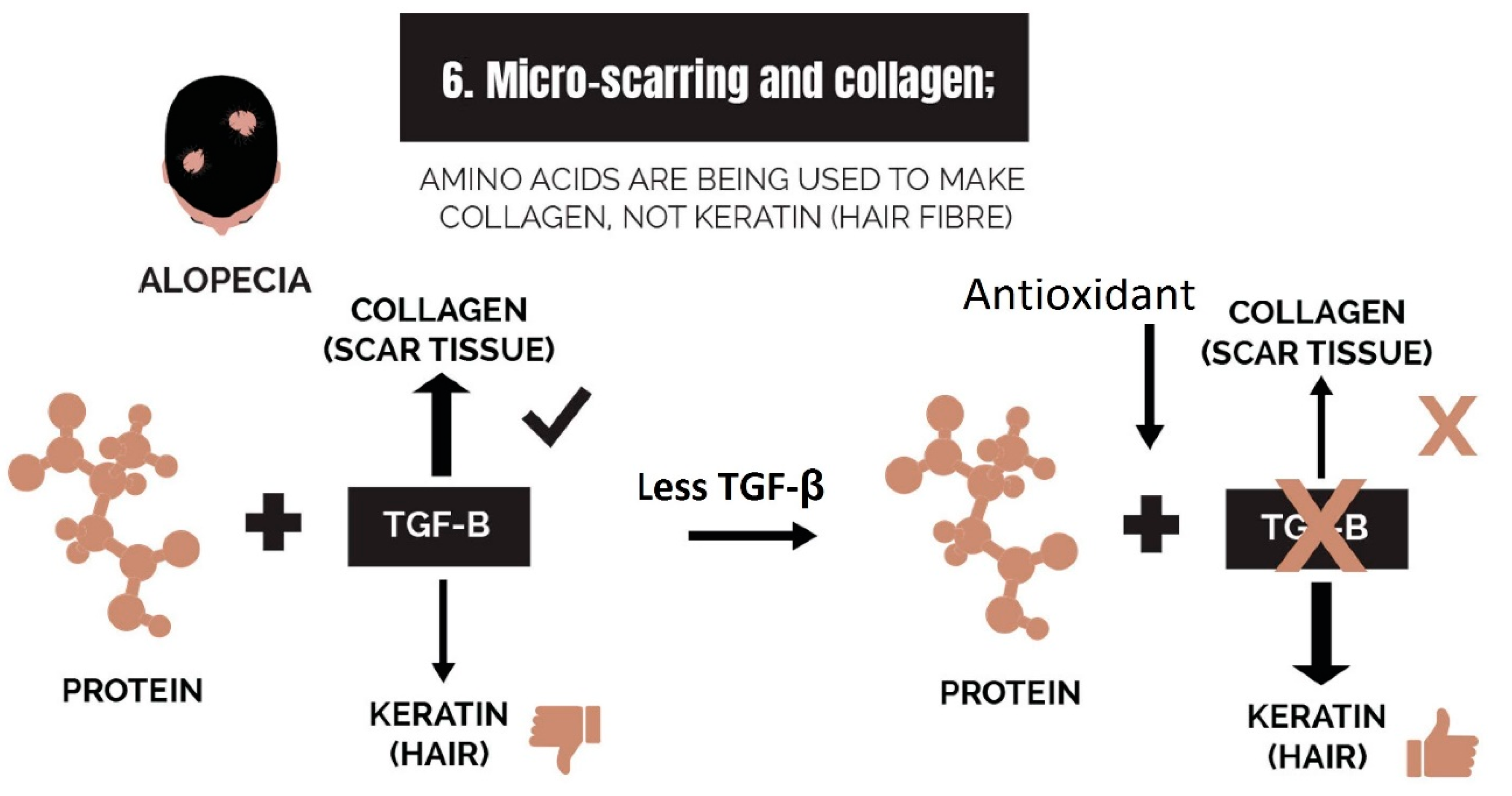 Cosmetics 10 00106 g014