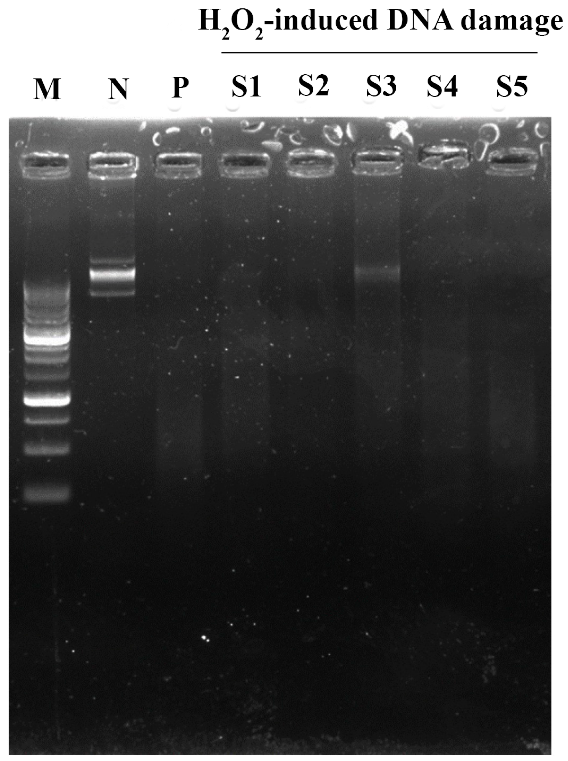 Cosmetics 10 00121 g002