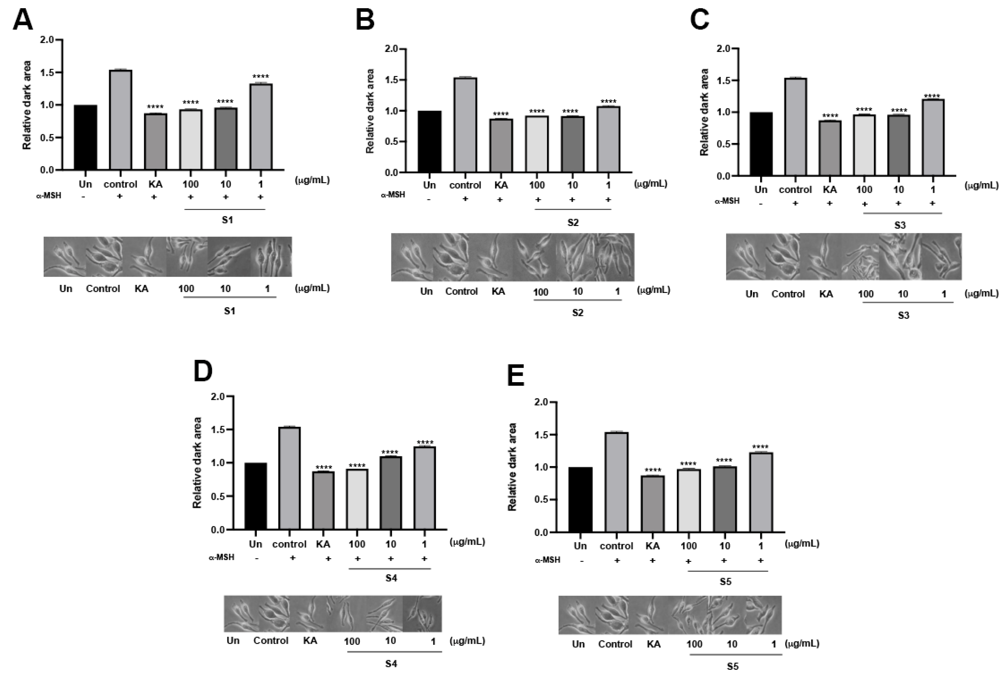 Cosmetics 10 00121 g004