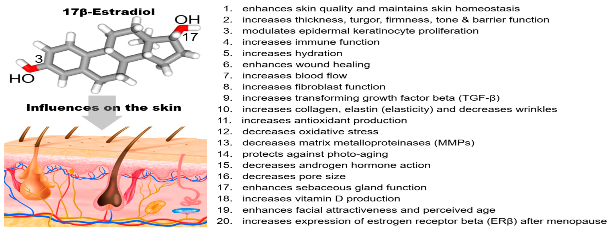 Cosmetics | Free Full-Text | Enhancing Skin Anti-Aging through Healthy Lifestyle  Factors