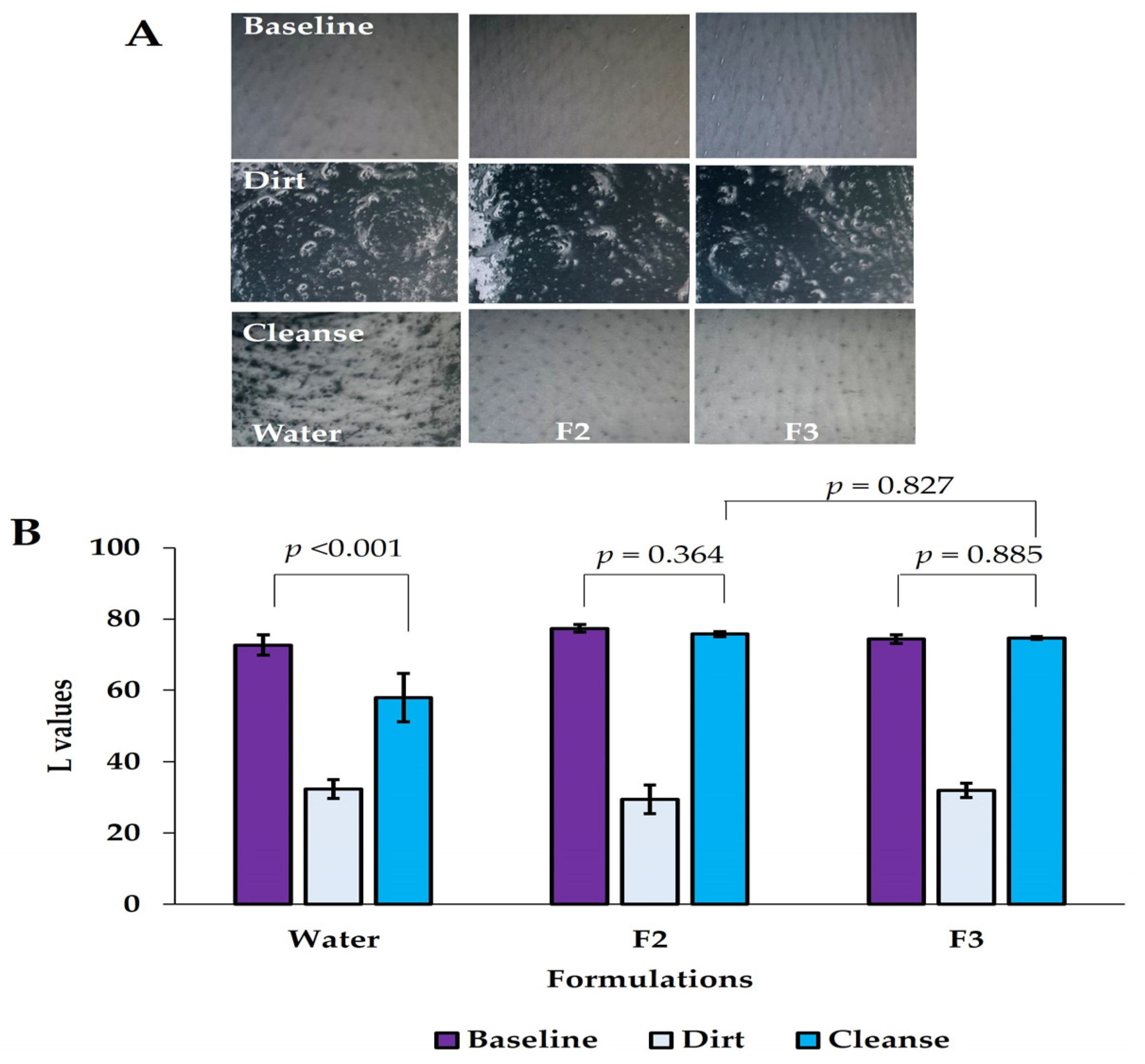 Cosmetics 10 00148 g006