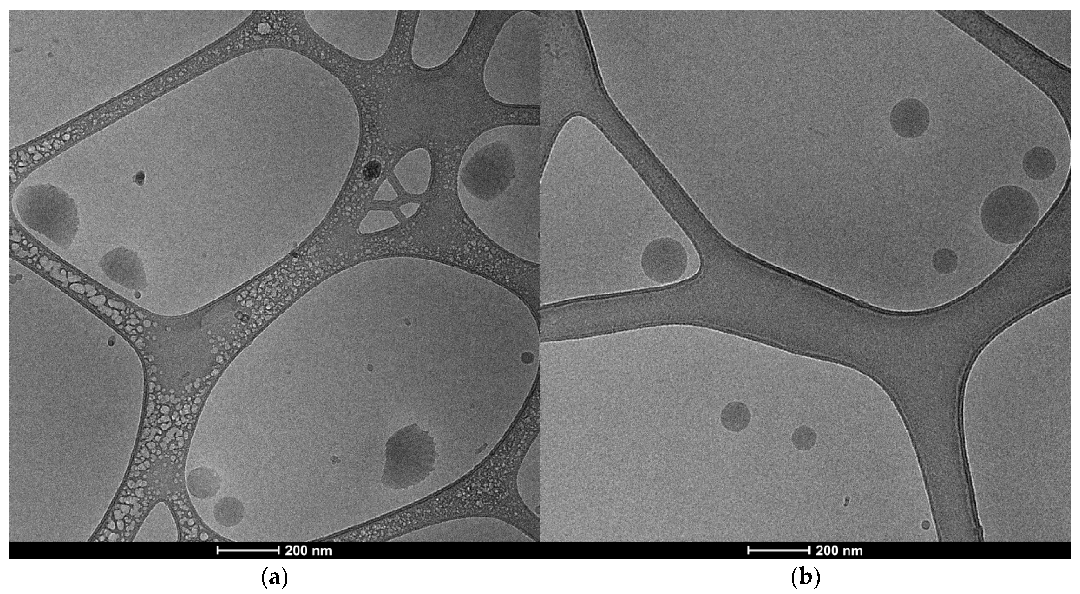 Cosmetics 10 00152 g002