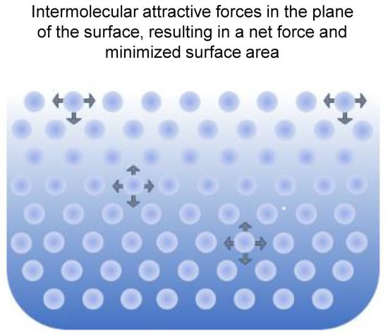 Recent Advances on Emulsion and Foam Stability