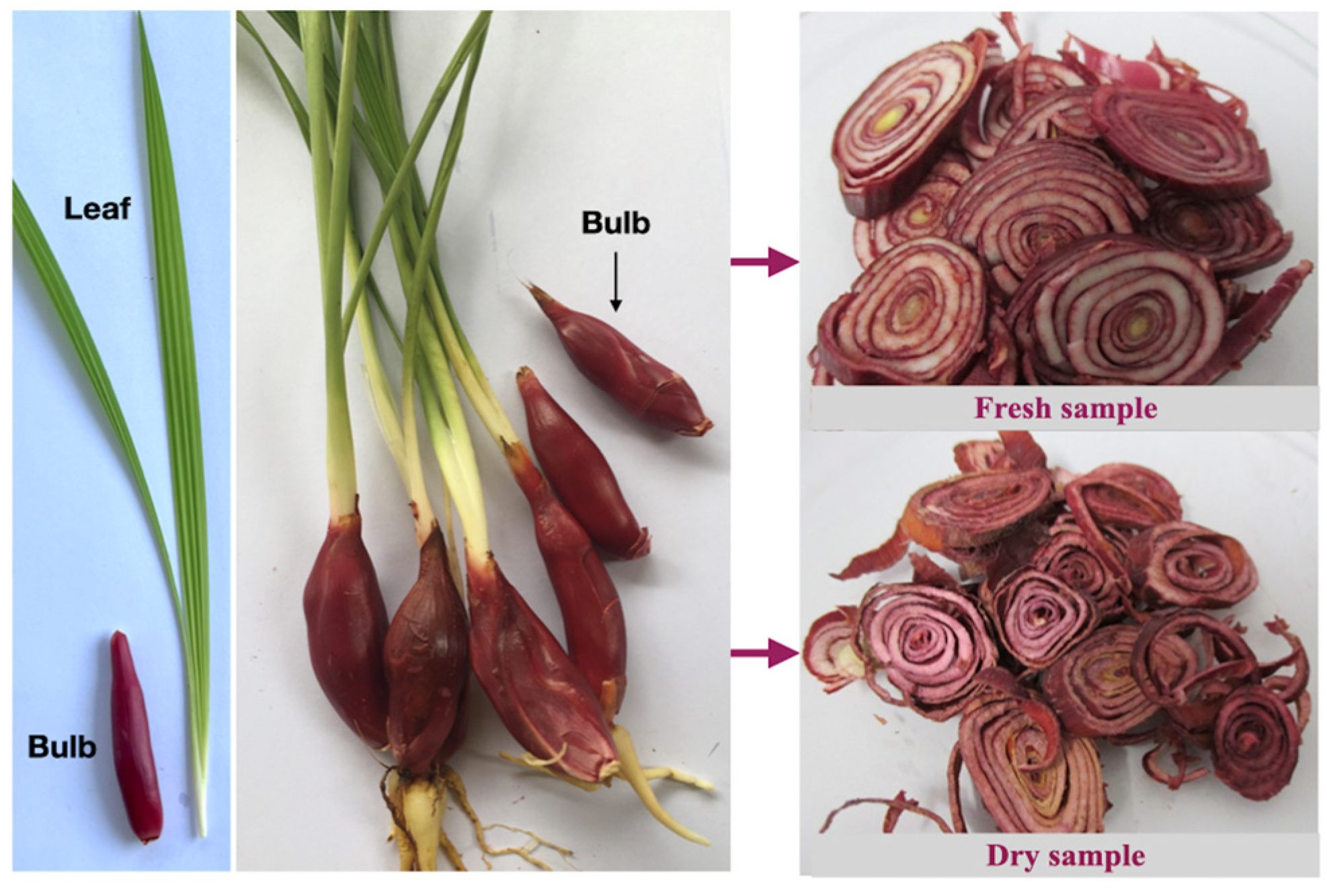 Cosmetics 11 00111 g001