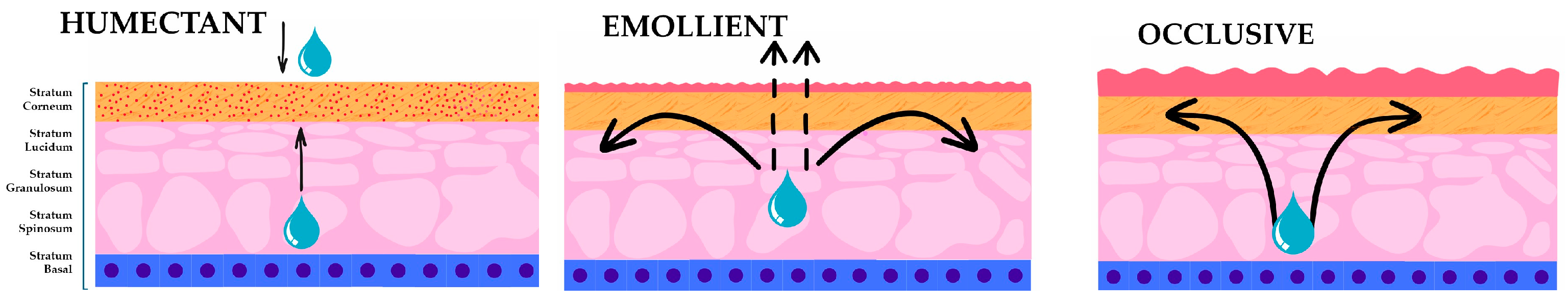 Cosmetics 11 00113 g001