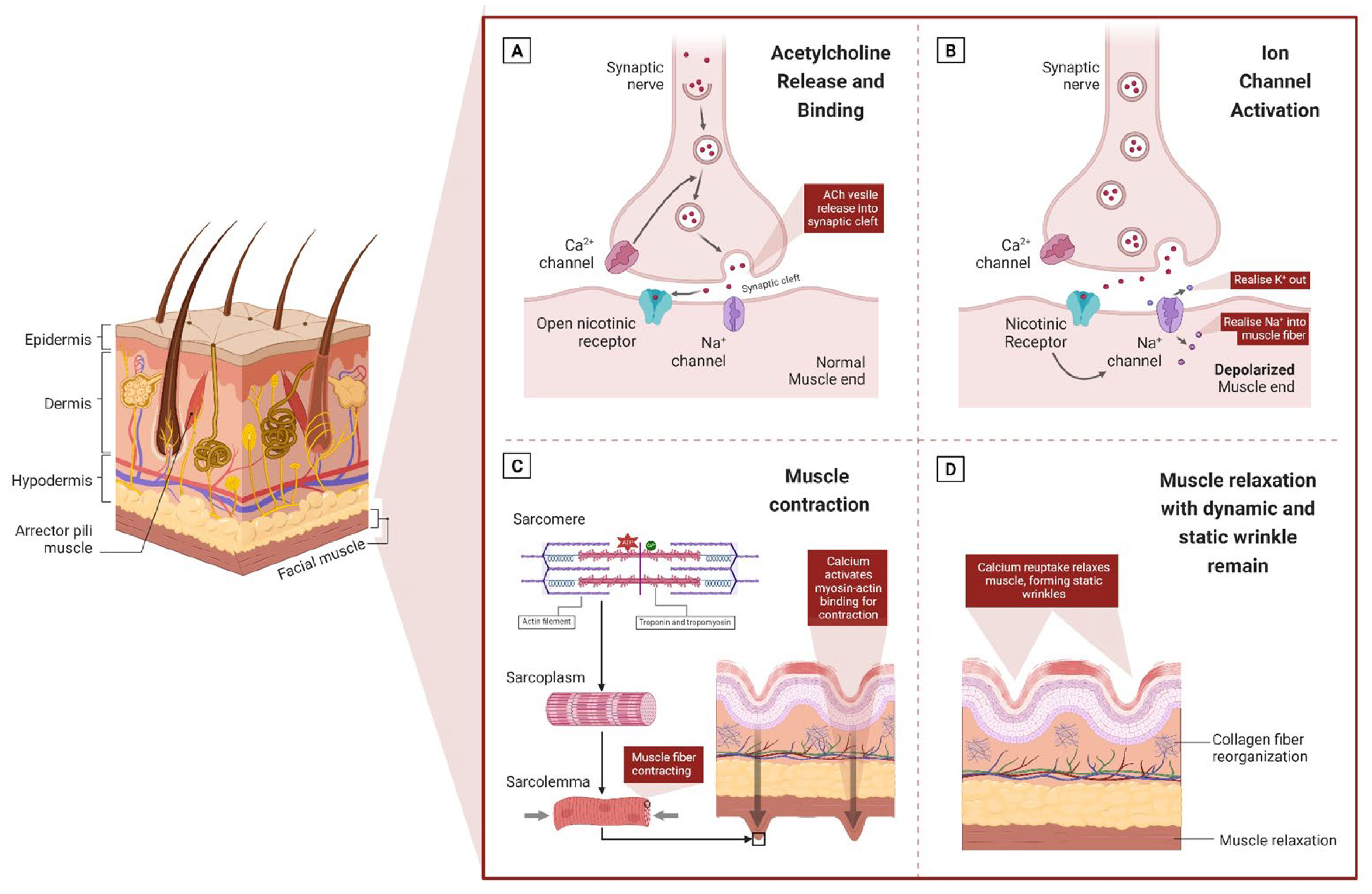 Cosmetics 11 00118 g001